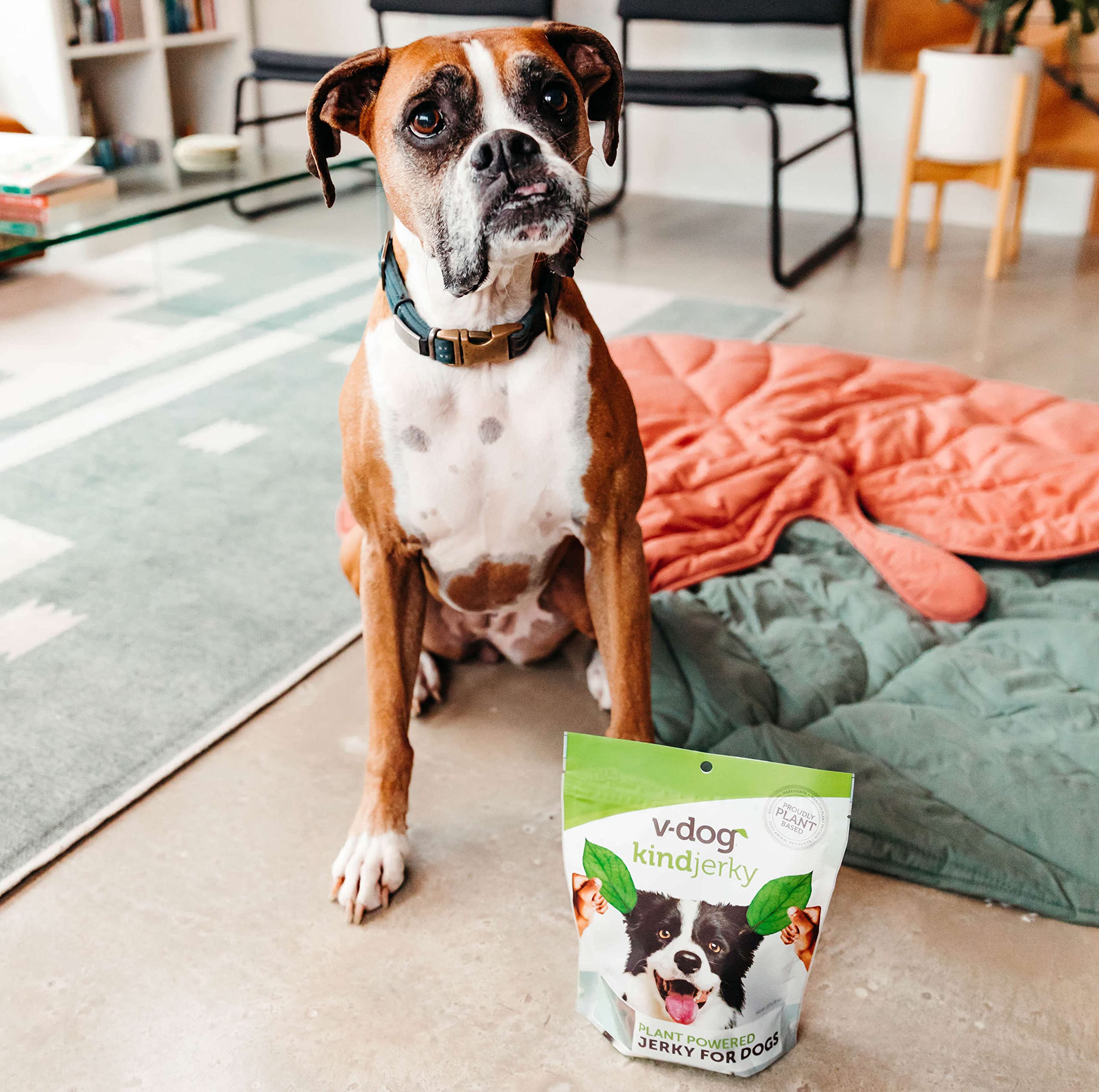 V-dog Kind Jerky - 100% Vegan Jerky Dog Treats - Plant Based Protein and Superfoods - 8 Ounce - All Natural - Made in The USA