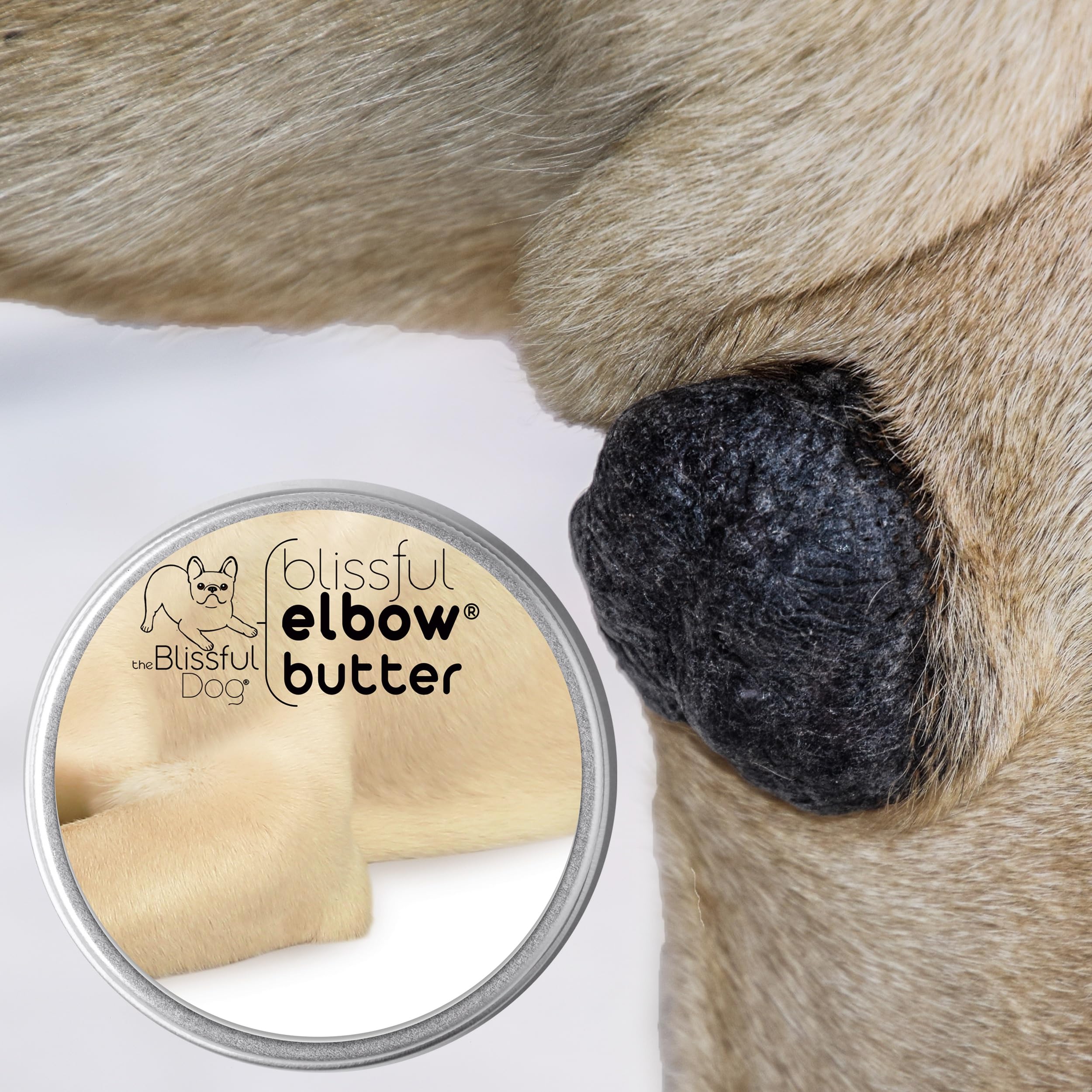The Blissful Dog Elbow Butter, Moisturizer for Dry, Cracked Elbow Calluses, Versatile Dog Balm, Lick-Safe Elbow Balm for Dogs 16