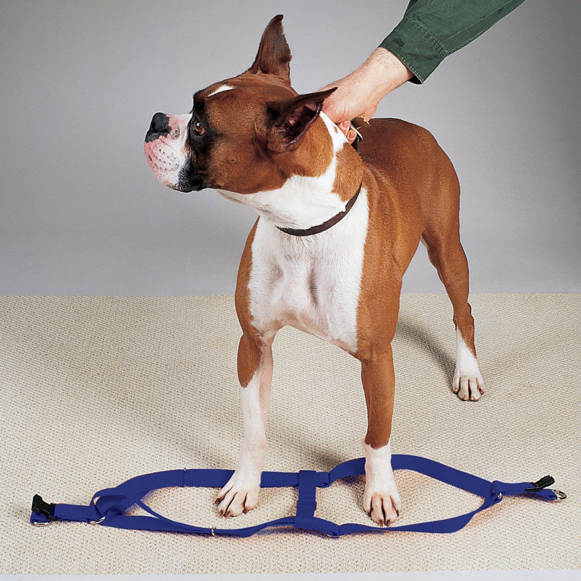 Guardian Gear 2 Step Pet Harness