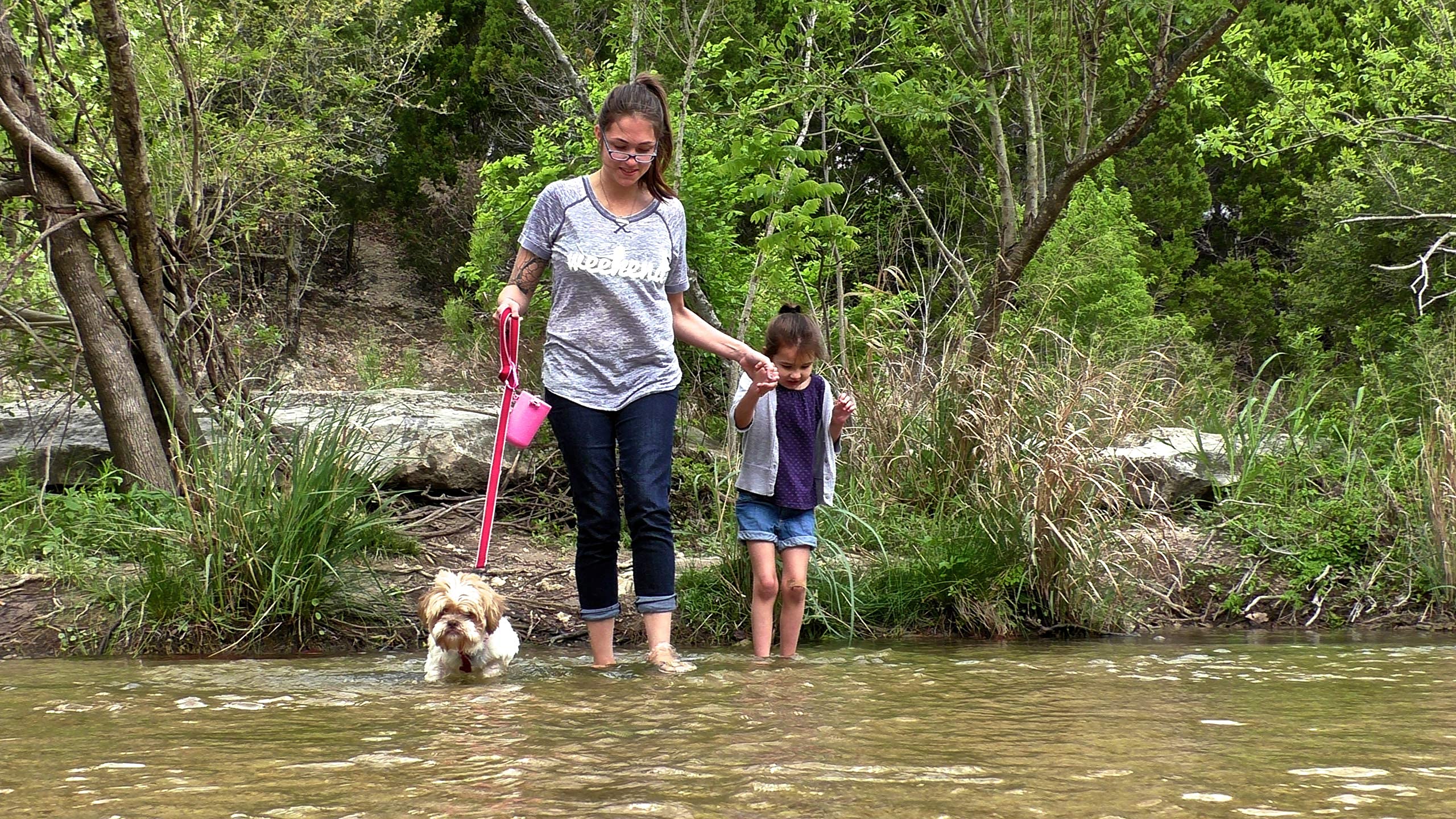 Dog Doo Tube Reusable Dog Poop Holder For Dog Walkers - Carries Used Dog Poop Bags - Tight Fitting Lid Keeps In Odors - Dog Waste Carrier - Attachable To Dog Leash, Harness Or Waist (Medium, Pink)
