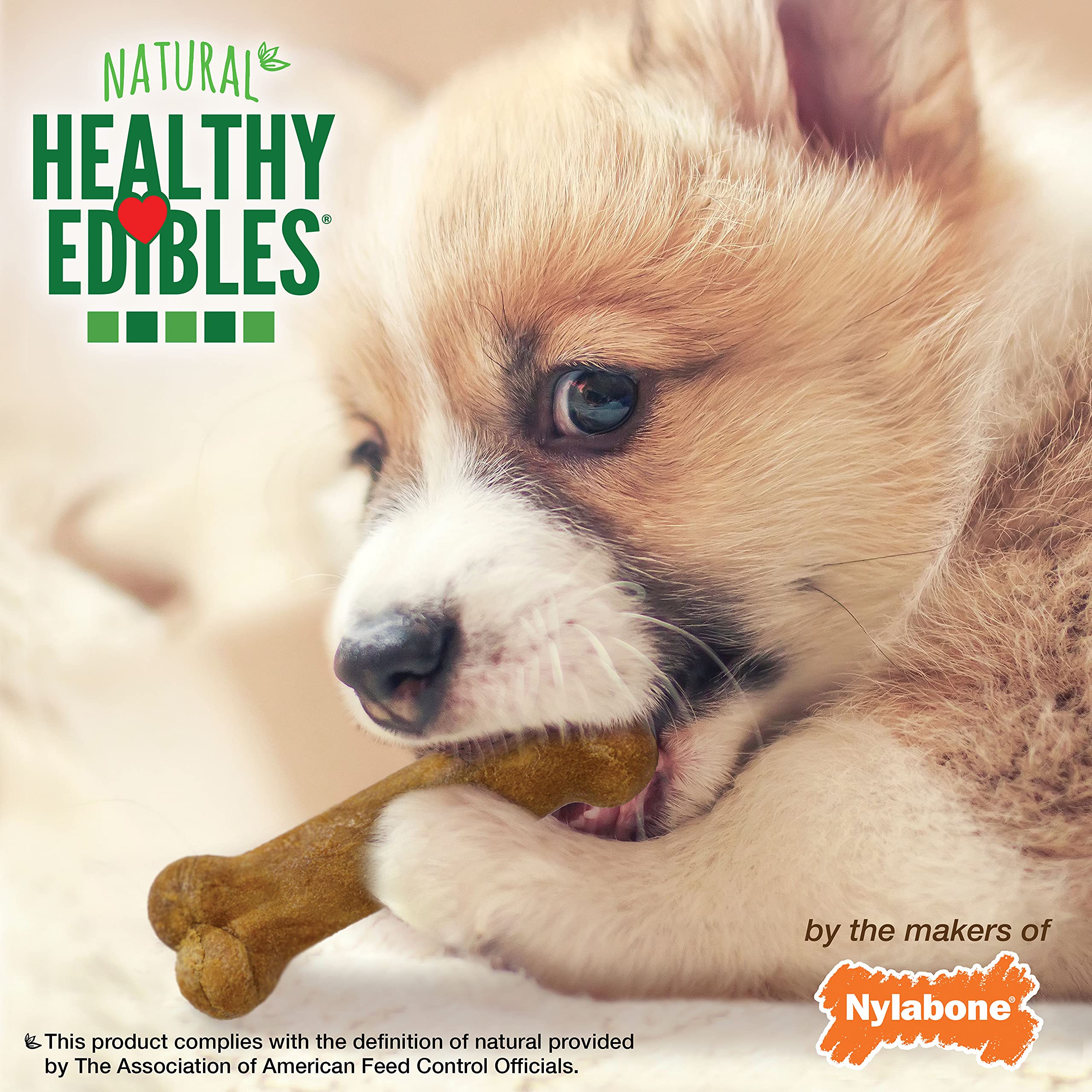 Nylabone Healthy Edibles Natural Puppy Chews Long Lasting Treats for Puppies, Lamb & Apple Flavor, X-Small/Petite (8 Count)