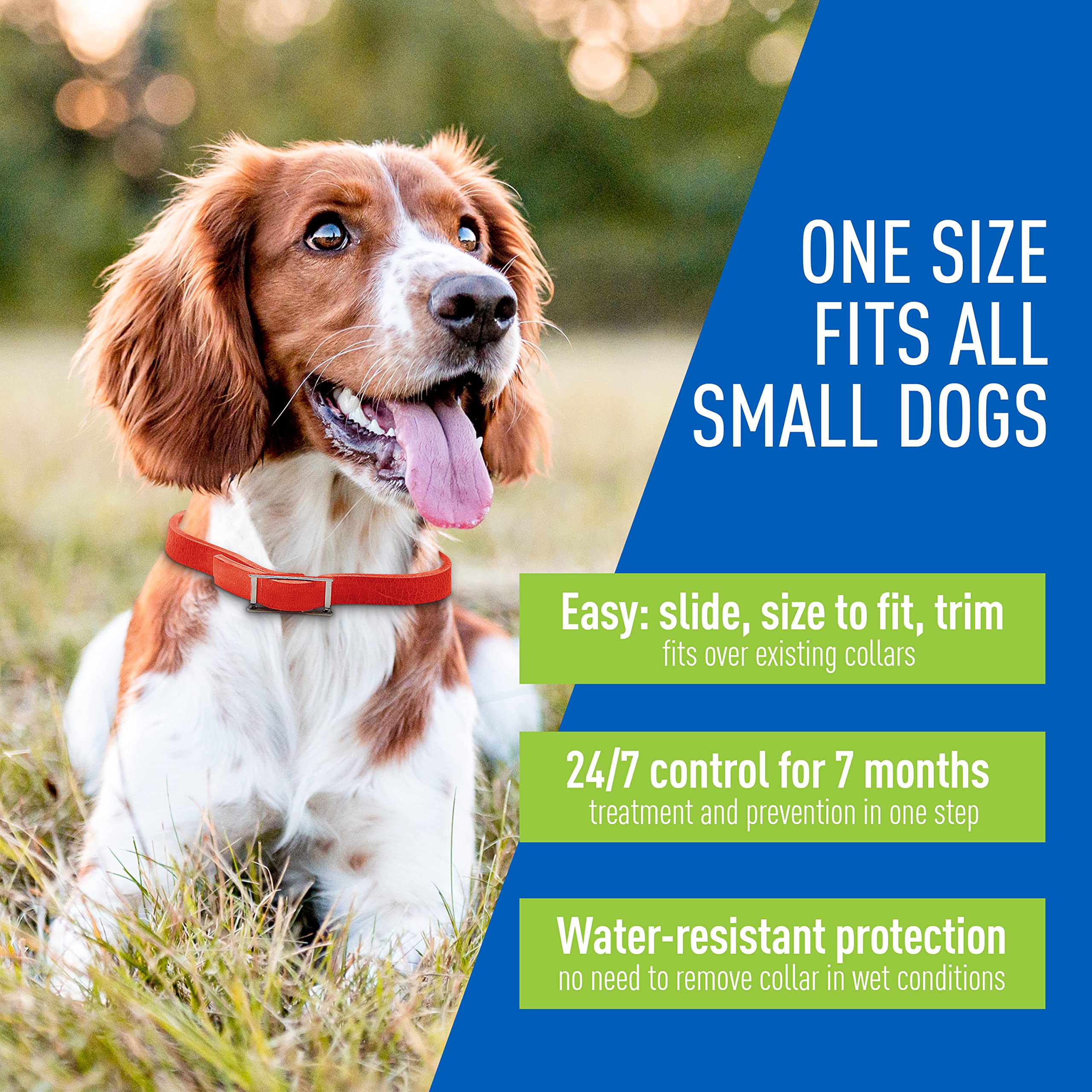 Adams Plus Flea & Tick Collar For Dogs, 7-Month Protection, Adjustable Collar Fits Small Dogs & Puppies, Kills & Repels Fleas, Flea Eggs, Flea Larvae, And Ticks, Kills Tick Larvae And Tick Nymphs