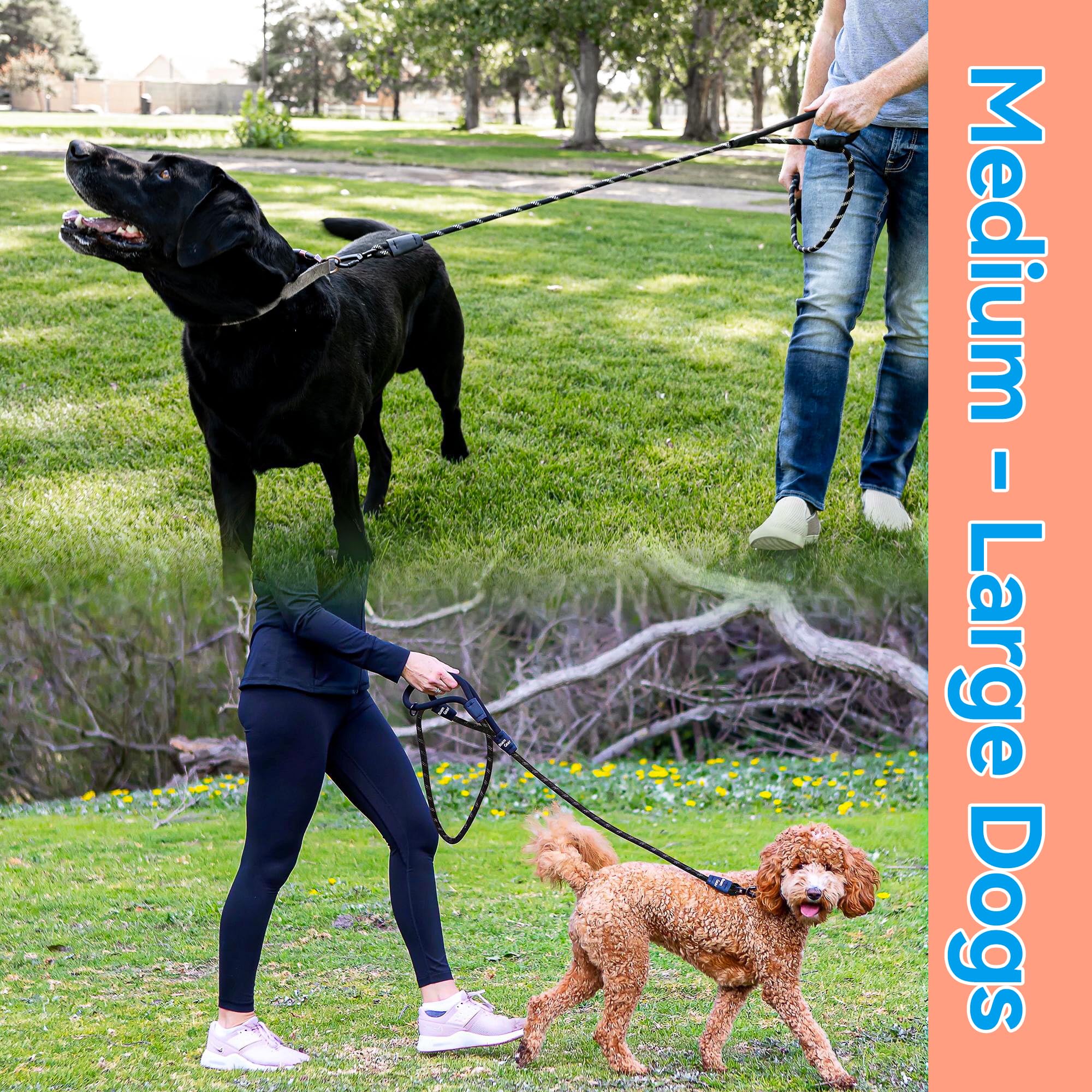 6 Foot Dog Leash, Two Extra Padded Handles, Heavy Duty Dog Leash For Medium To Large Pets, Highly Reflective, Shock-Absorbing No Pull Rope Lead, Durable For Walking, Running, Training Lead - Roam Gear