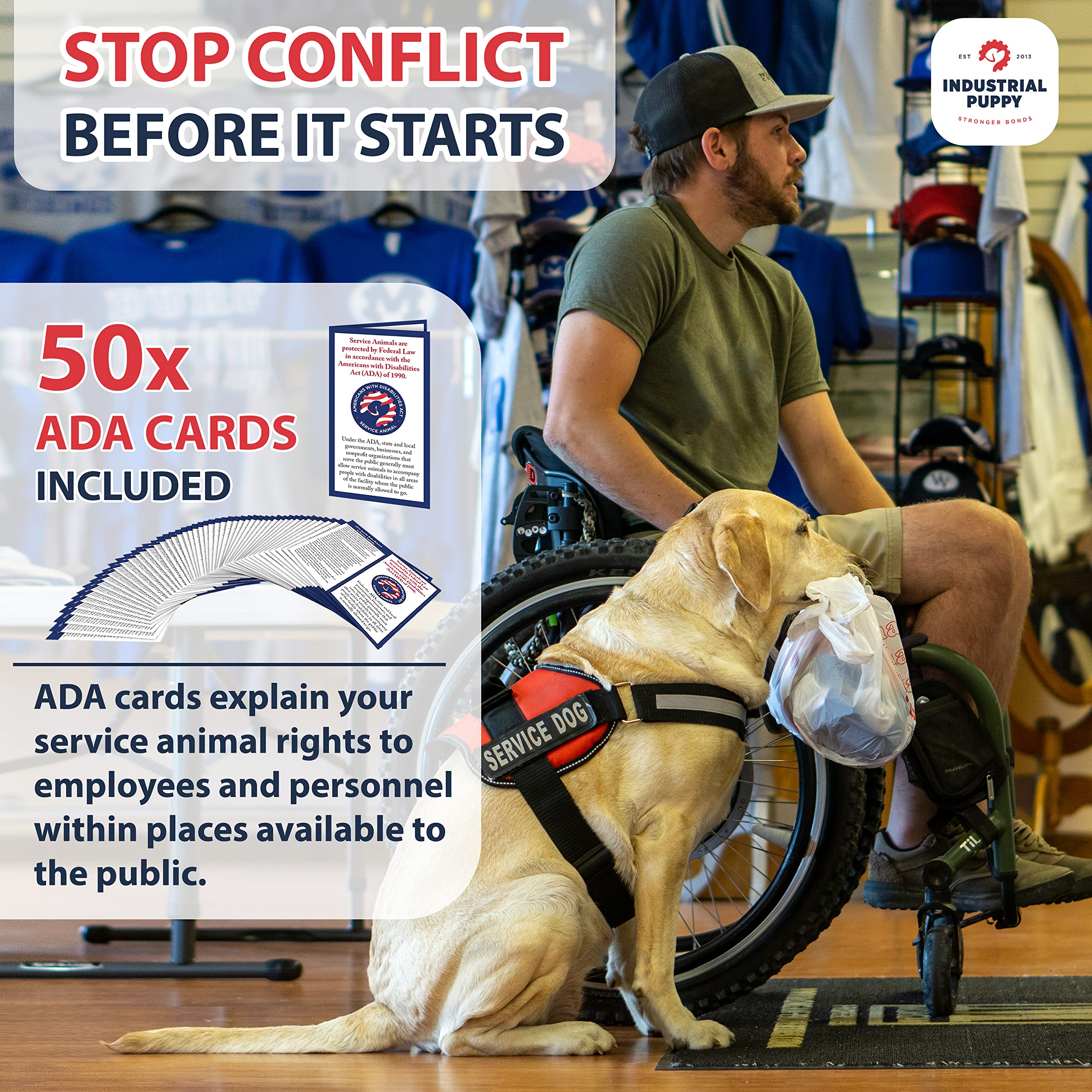 Service Dog Vest With Hook And Loop Straps And Handle - Harness Is Available In 8 Sizes From Xxxs To Xxl - Service Dog Harness Features Reflective Patch And Comfortable Mesh Design (Blue, Xs)