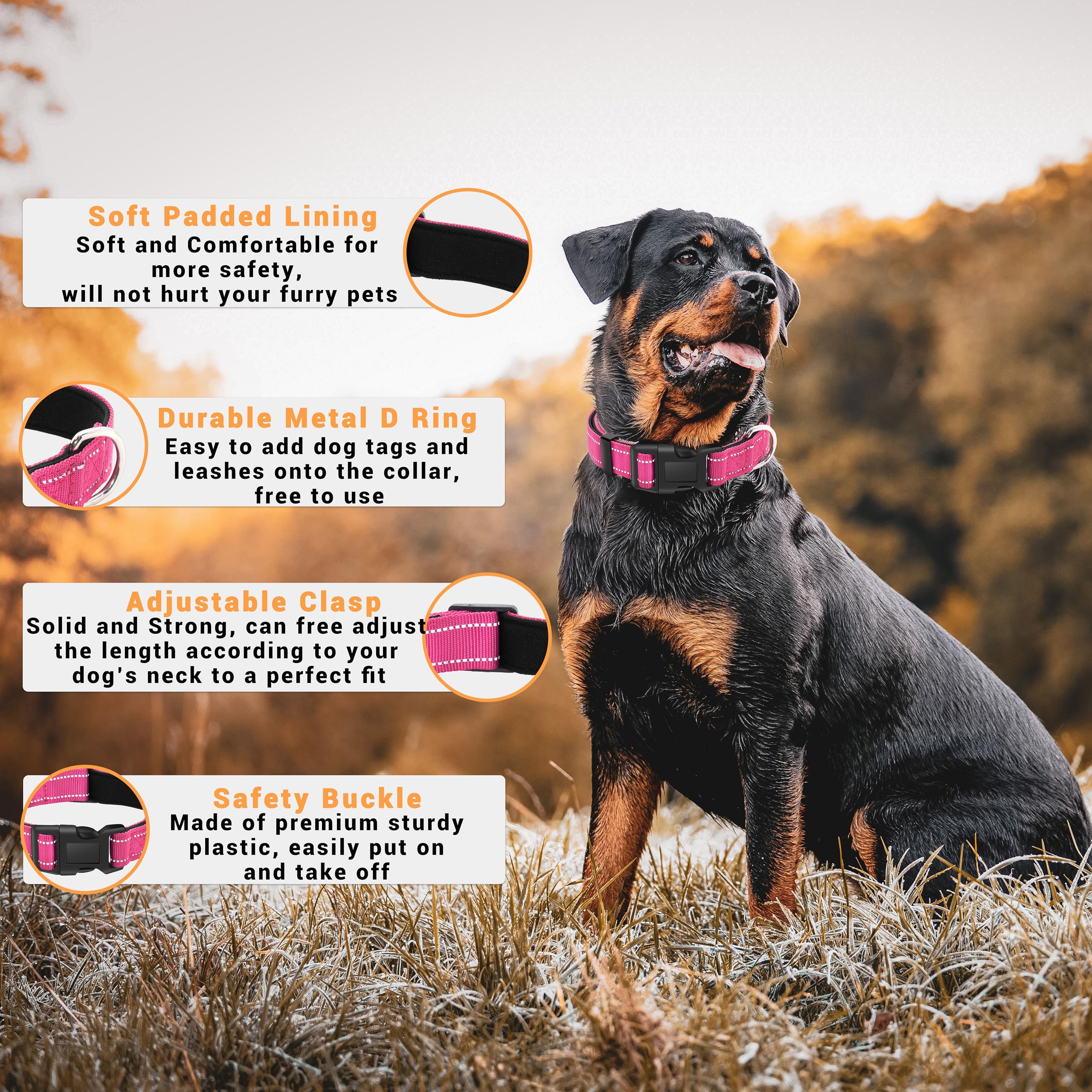 Lievuiken 2 Pack Reflective Dog Collar With Safety Locking Buckle, Adjustable Soft Breathable Comfortable Nylon Pet Collar For Small, Medium And Large Dogs, Hotpink, S