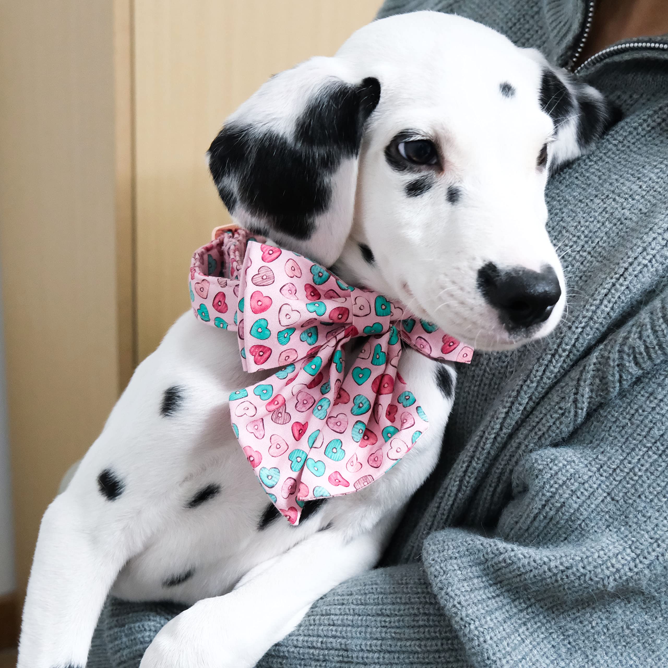 Maca Bates Valentines Sweet Heart Dog Collar with Bow Bowtie for Dogs Sailor Bow Tie Adjustable Breakaway Pink Collars Accessori