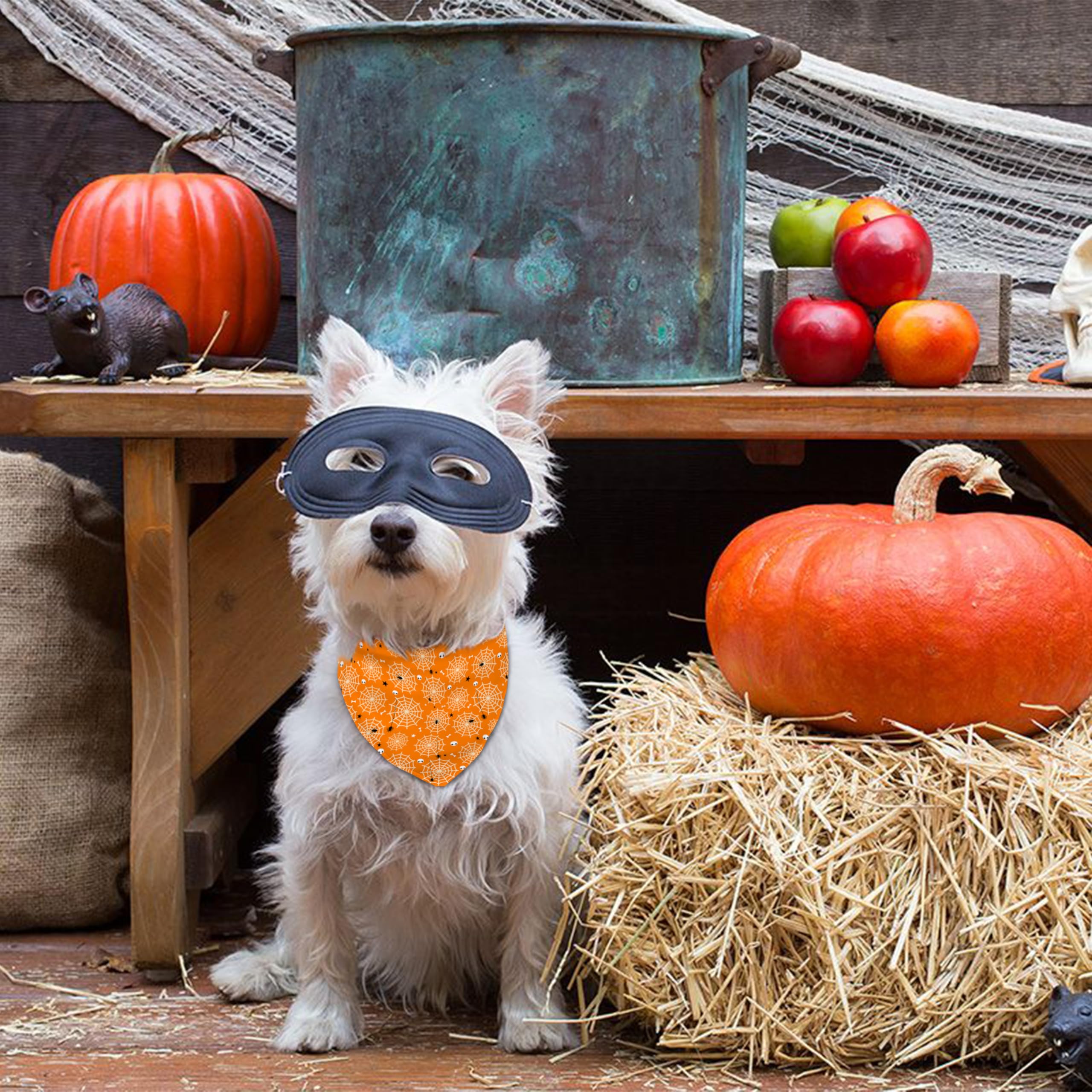 Fall Halloween Dog Bandanas Reversible 2 Pack Small, Orange Black Spider Web Ghost Witch Hat Cute Halloween Pet Bandanas For Dog