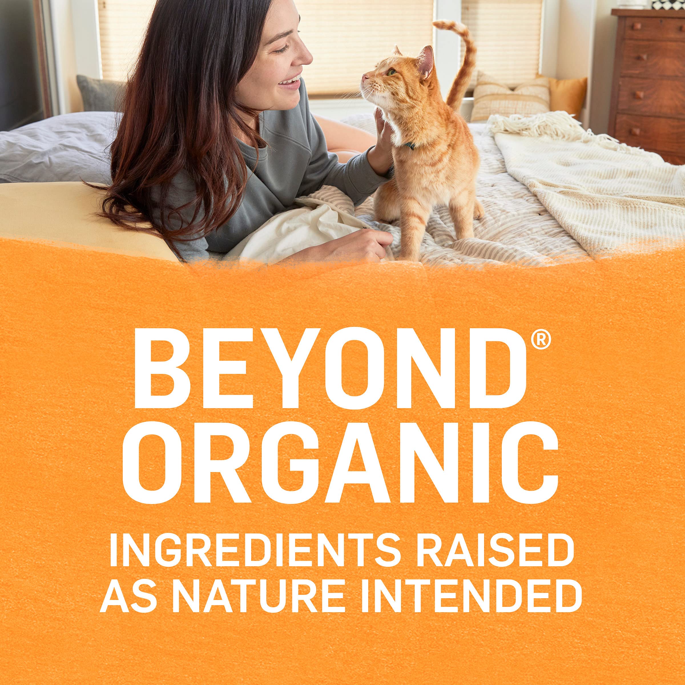 Purina Beyond Organic Wet Cat Food Pate, Organic Chicken & Carrot Adult Recipe - (Pack of 12) 3 oz. Cans