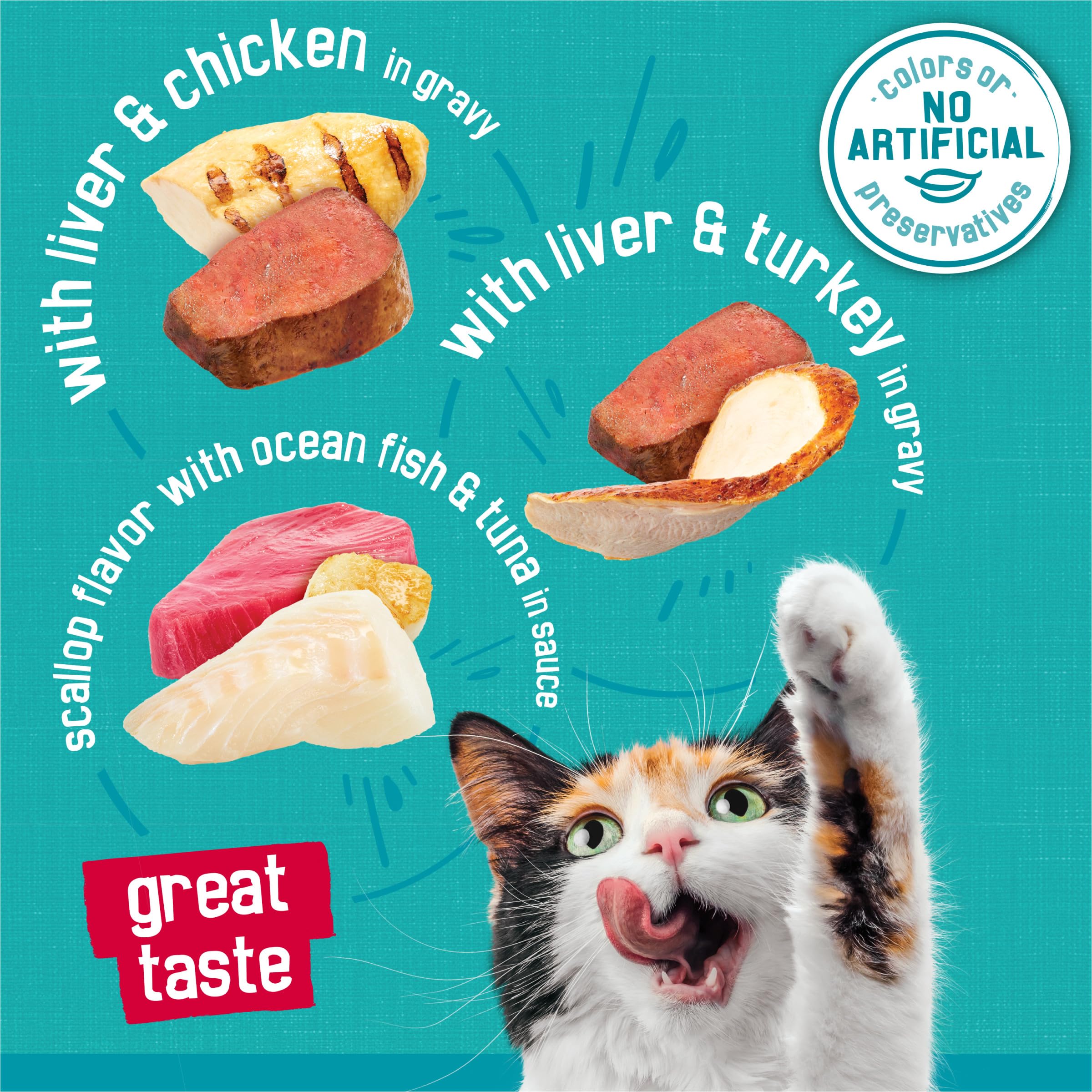 Purina Friskies Wet Cat Food Variety Pack, Tasty Treasures Prime Filets (With Ocean Fish and Tuna, With Chicken and With Turkey)