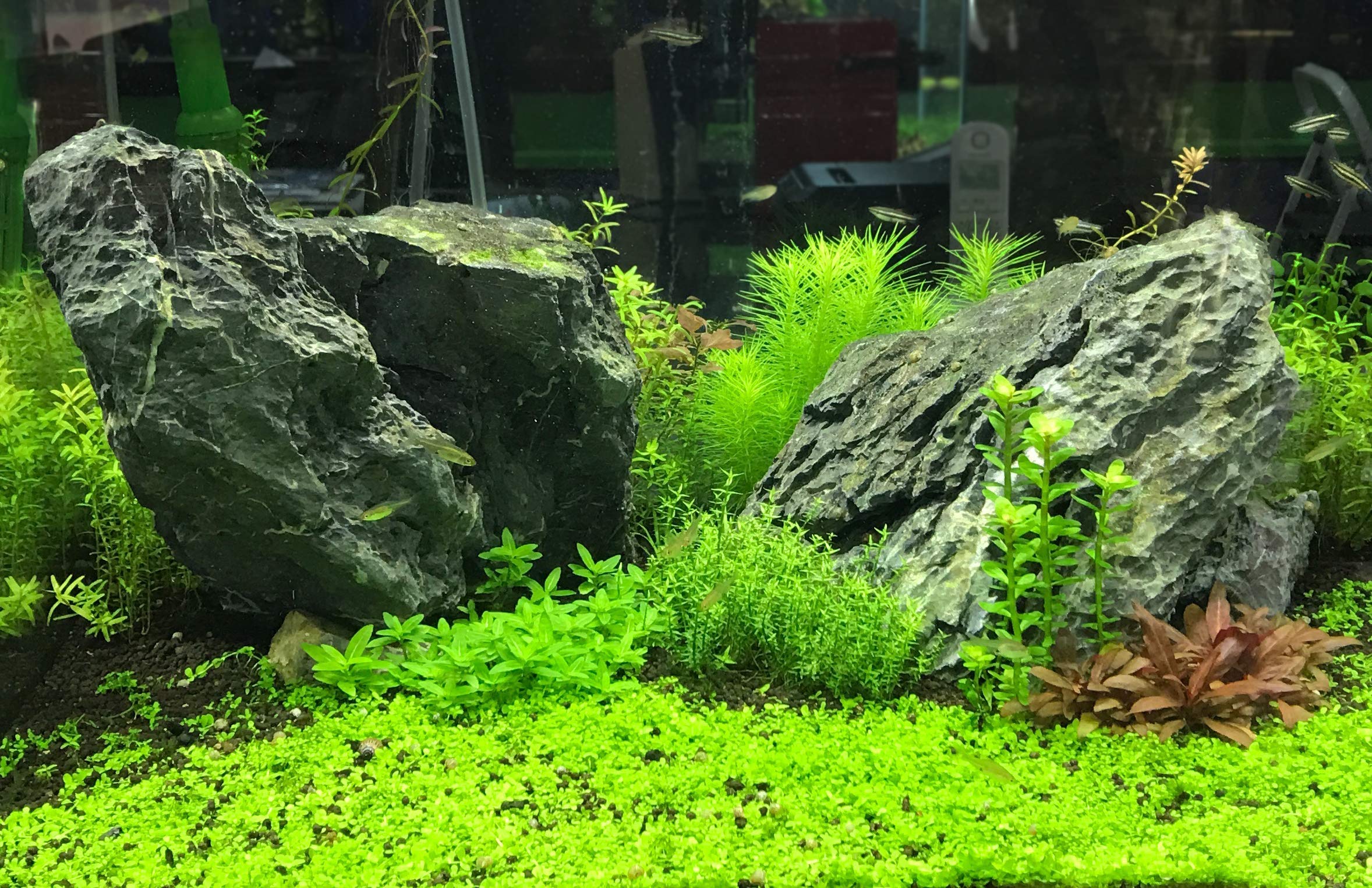 Flourish Nitrogen, 4 L / 1 fl. gal.