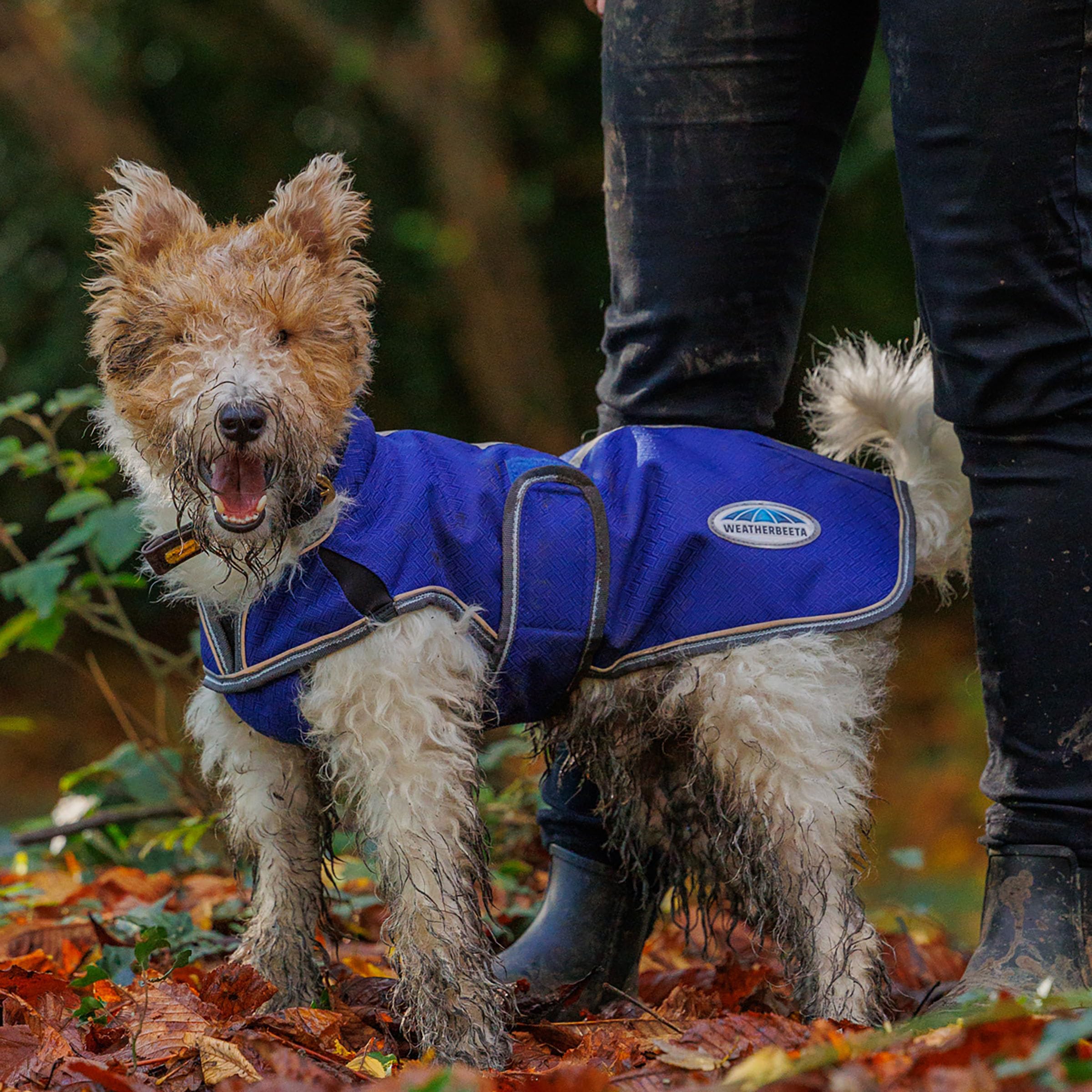 Weatherbeeta Comfitec Premier Free Parka Deluxe Dog Coat Medium, Dark Blue/Grey/White, 32'