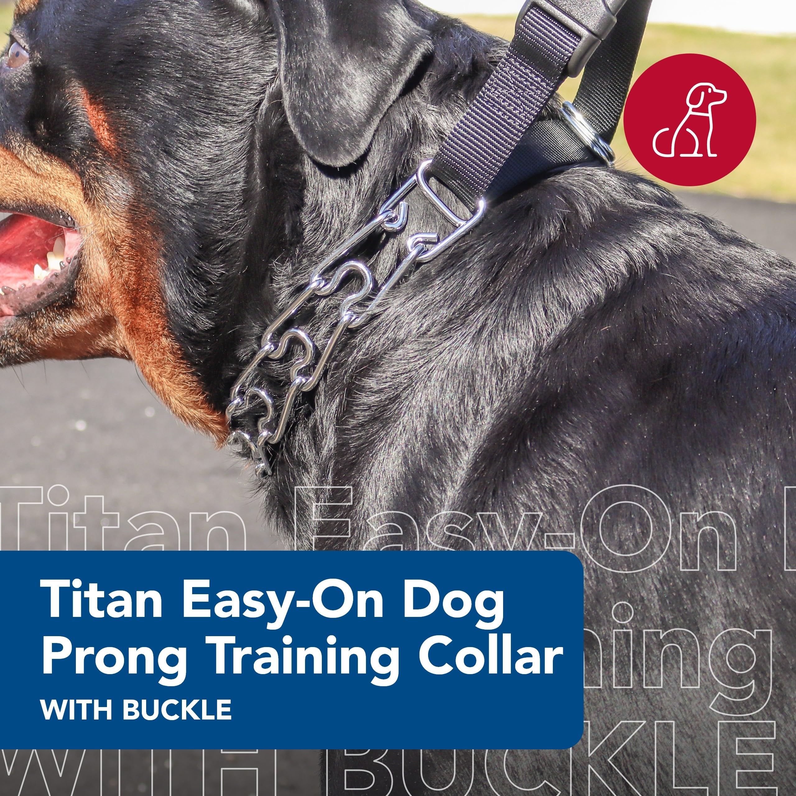 Coastal Pet Titan Easy-On Dog Prong Training Collar With Buckle - Durable Metal Training Collar For Dogs With Side Release Buckle - Black, 2 Mm X 14'