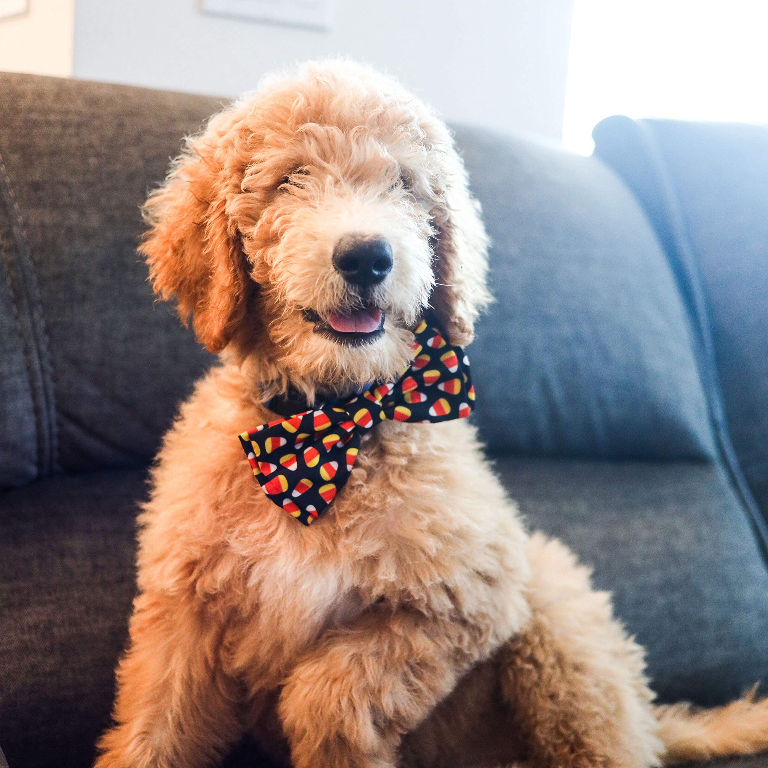 Huxley & Kent Bow Tie For Pets | Candy Corn (Large) | Halloween Bow Tie Collar Attachment | Fun Bow Ties For Dogs & Cats | Cute, Comfortable, And Durable | H&K Bow Tie