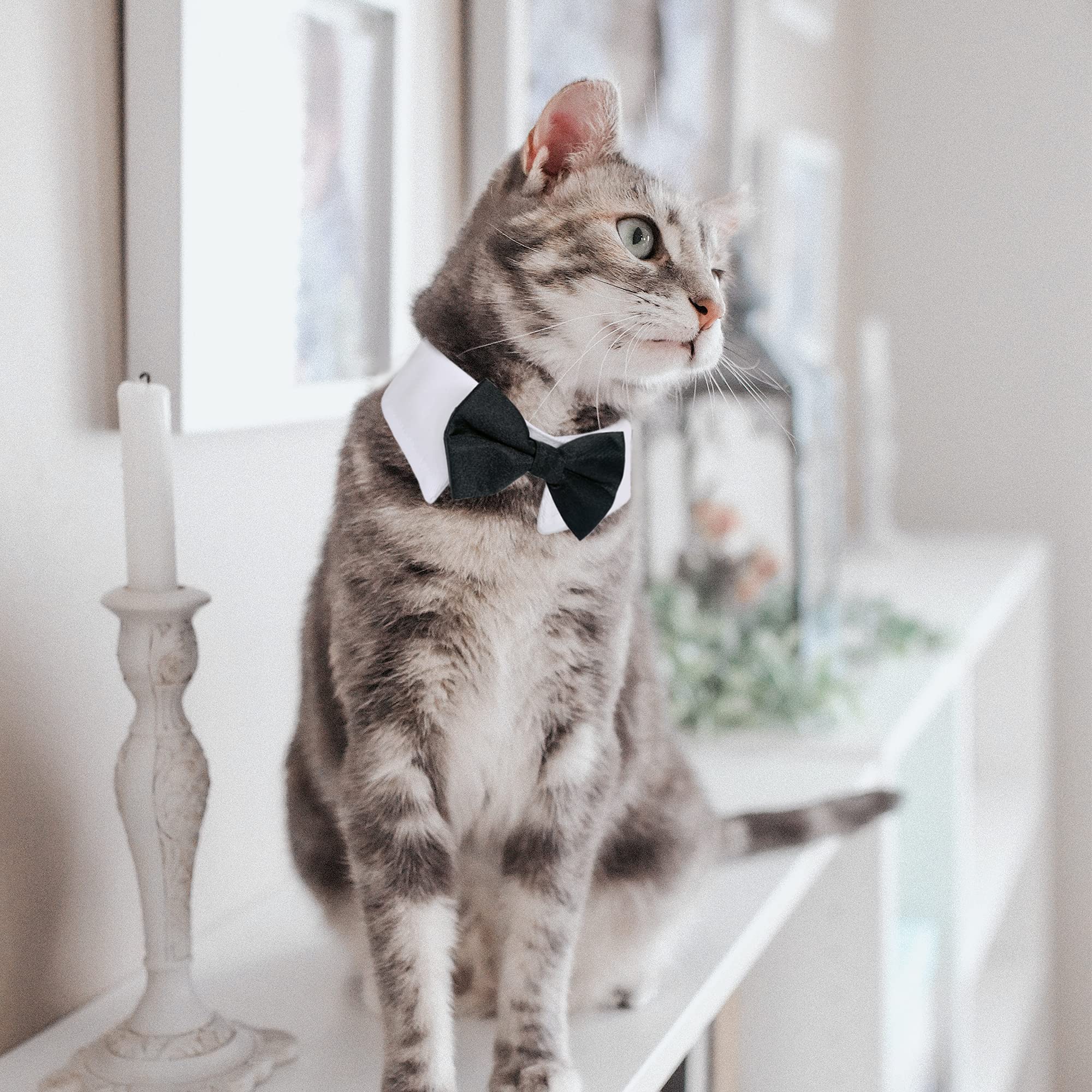 Casidoxi Cat Dog Tuxedo Collar, Dog Bow Tie Collars, Dog Bowtie Dog Cat Birthday Easter Tux Wedding Collar For Dog Cat Puppy…