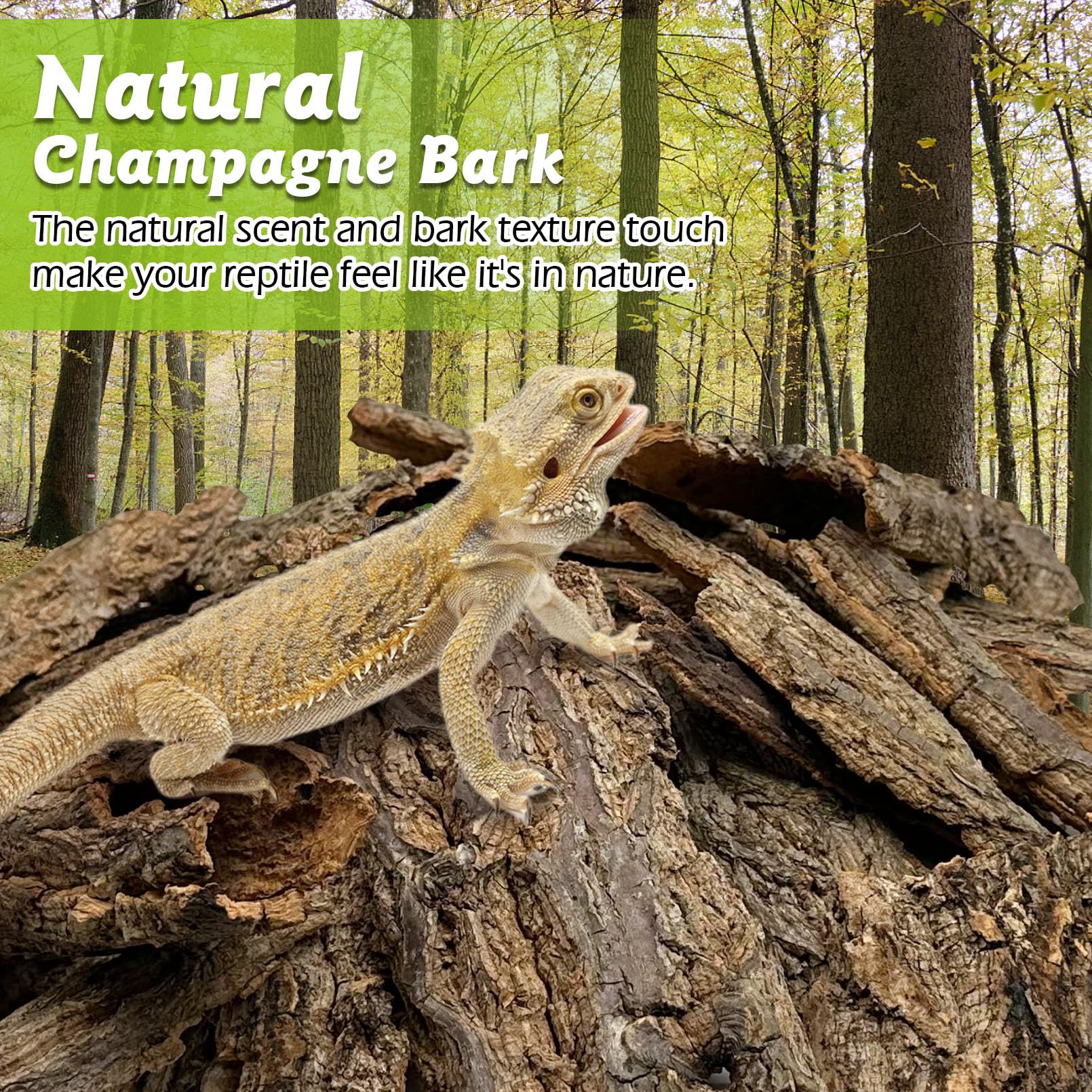 Apatal 1 Lb Natural Cork Bark for Reptiles - Bedding Substrate for Bearded Dragons, Snakes, Spiders, Crabs, Geckos, Tortoises - Wood