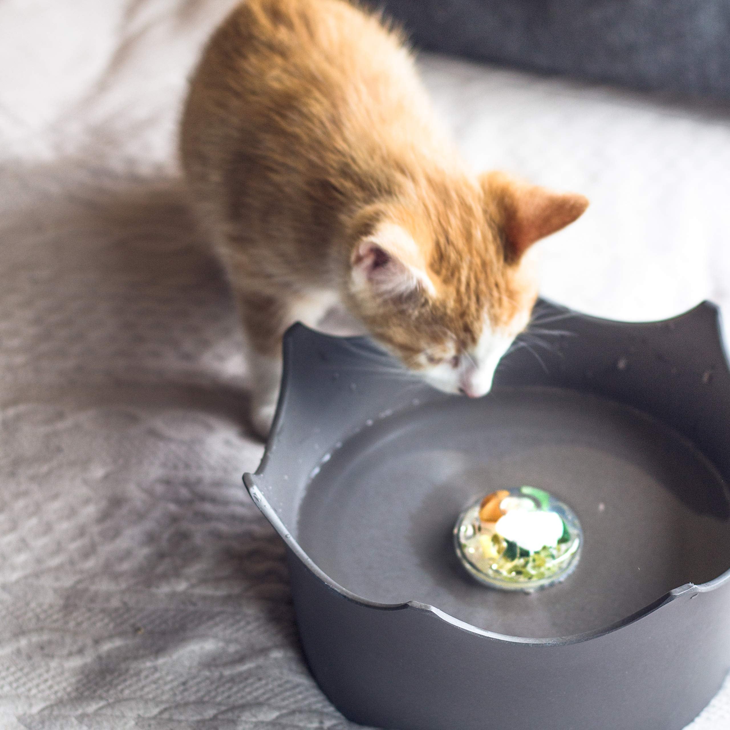 Crownjuwel By Vitajuwel Bowl | Crystal Water For Cats & Dogs | Lava Black