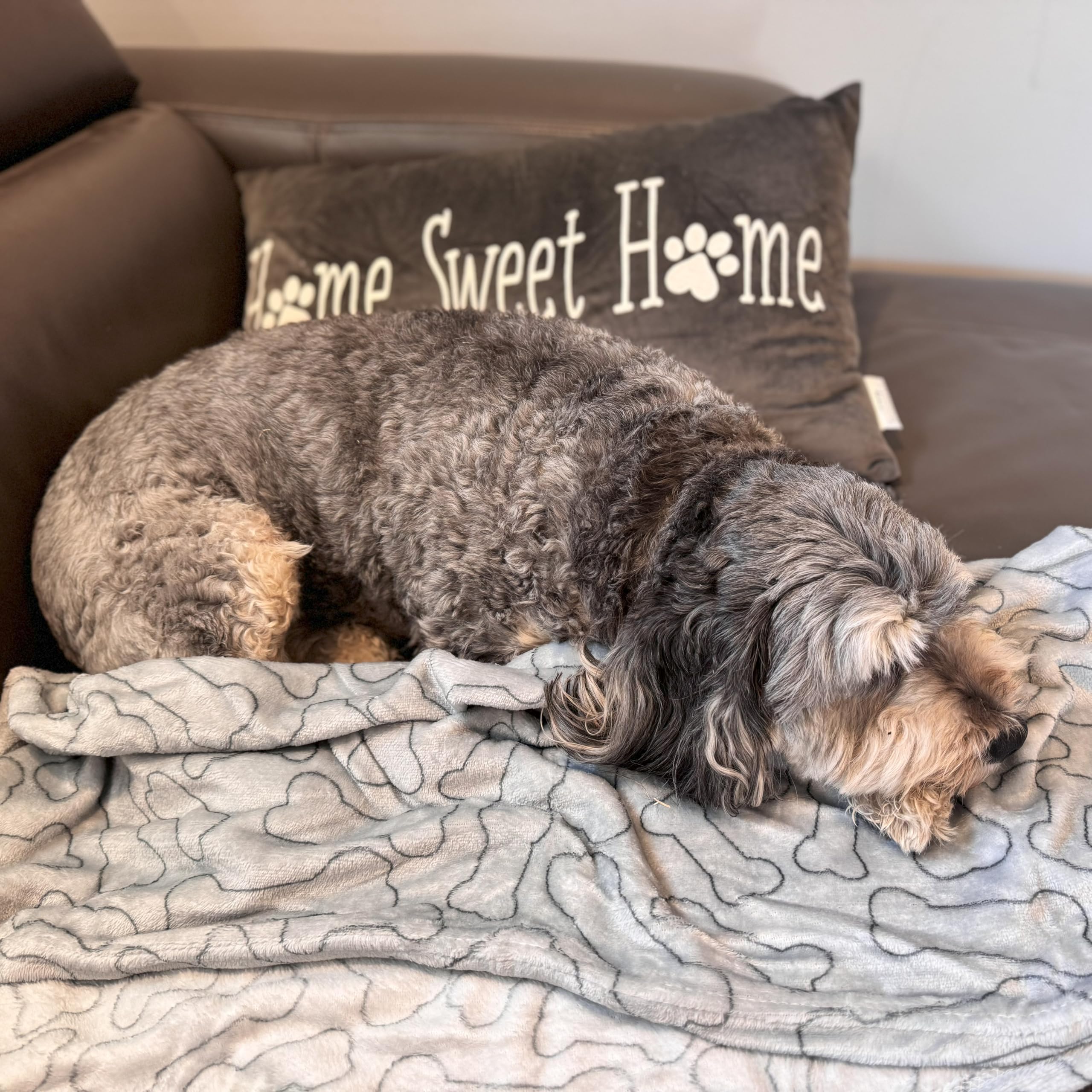 Spot Snuggler Bones Blanket - Ultra Soft, Machine Washable Dog Blanket For Beds, Furniture Protection, Travel, And Crates - 30 X 40 Inch, Grey Fleece Throw With Bone Print Design