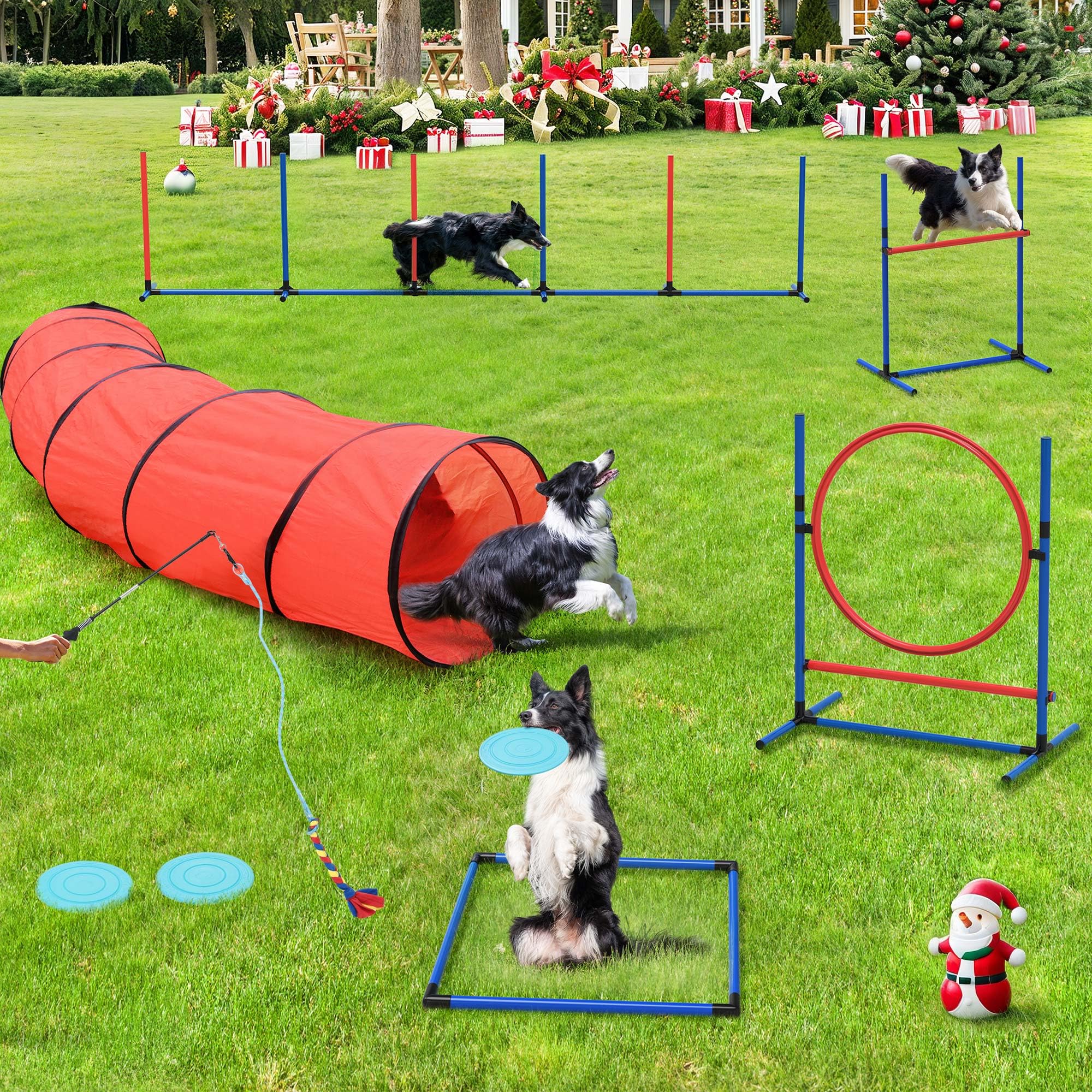 Yitahome Dog Agility Kit: Includes Flirt Pole Accessorie, 2 Hurdles, 3 Frisbees, 6 Weaving Poles, 1 Agility Tunnel, Pause Box, F
