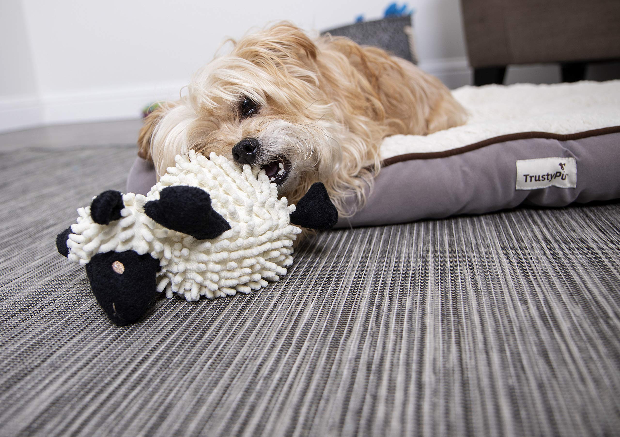 Godog Fuzzy Wuzzy Lamb Squeaky Plush Dog Toy, Chew Guard Technology - Assorted, Small