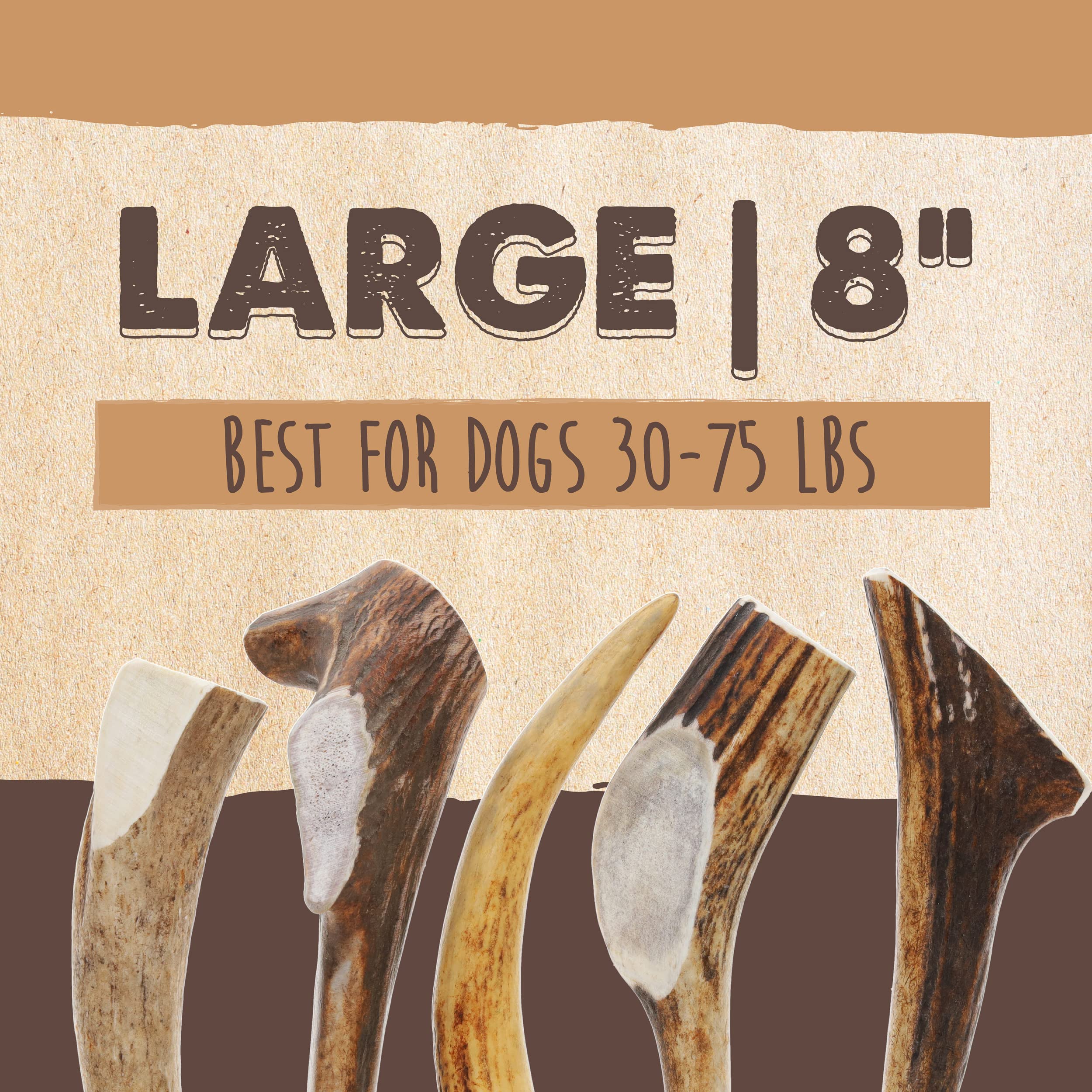 Mighty Paw Elk Antlers for Dogs | Large Size 8 Premium Deer Antlers, Pets &Puppies. Long Lasting Aggressive Chewers. Dog Antle