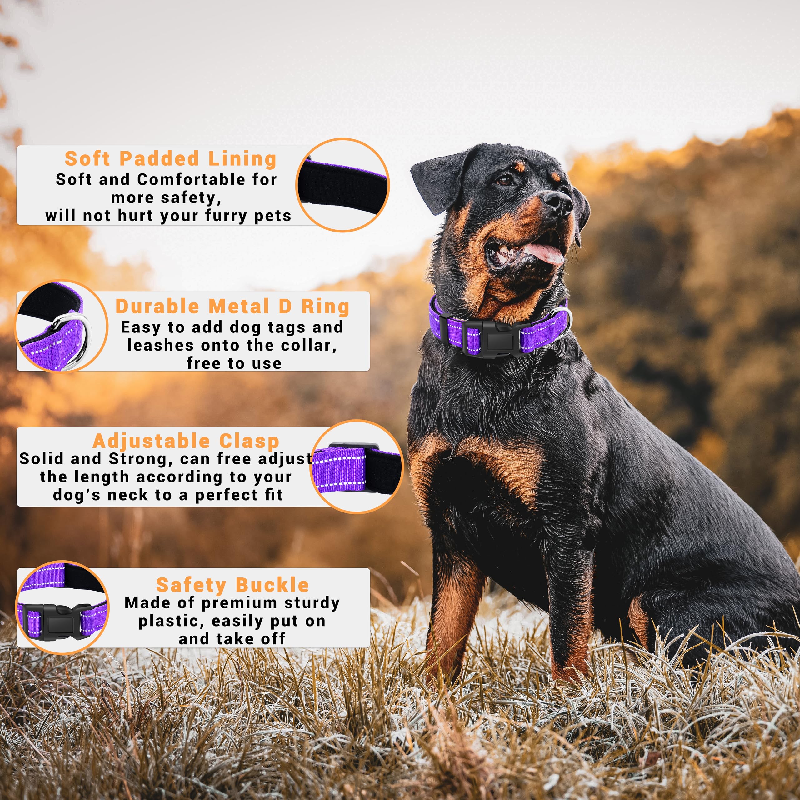 Lievuiken 2 Pack Reflective Dog Collar With Safety Locking Buckle, Adjustable Soft Breathable Comfortable Nylon Pet Collar For Small, Medium And Large Dogs, Purple, M