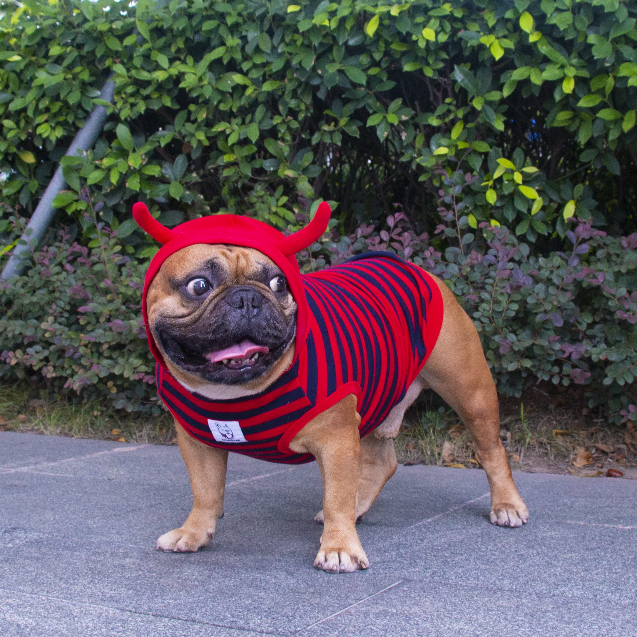 Ichoue I Am A French Bulldog Little Devil Fire Ant Costumes Hoodies Clothes Outfits Cosplay Winter Coats Sweaters Pullovers For Small Dogs Frenchie Pug English Boston Puppy - Red, Medium