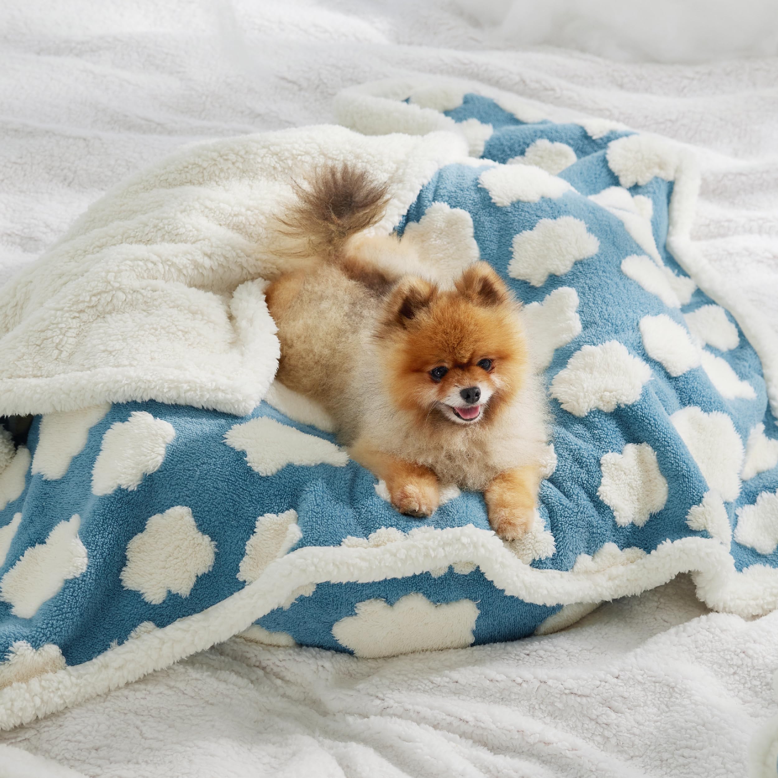 LE SURE Waterproof Puppy Blanket - Washable Soft Sherpa Fleece, Small (25x35"), Blue