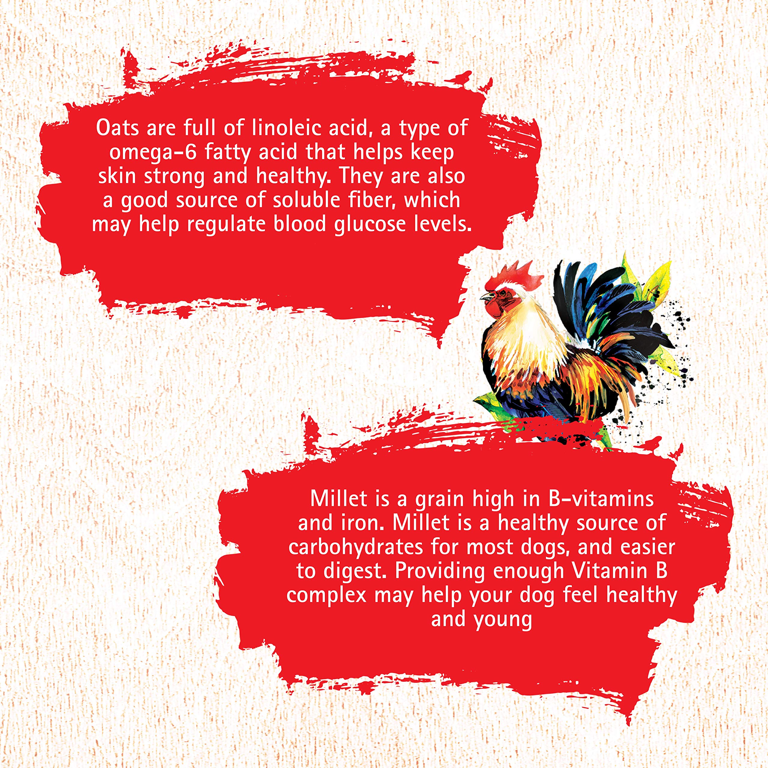 Inception Dry Dog Food Chicken Recipe - Complete and Balanced Dog Food - Meat First Legume Free Dry Dog Food - 27 lb. Bag