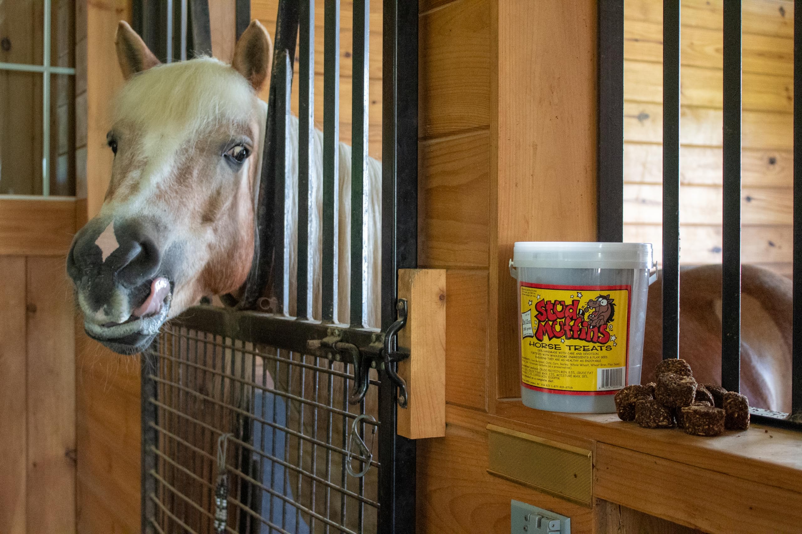 Stud Muffins S1060 Stud Muffins Horse Treats, 60 Oz Bucket