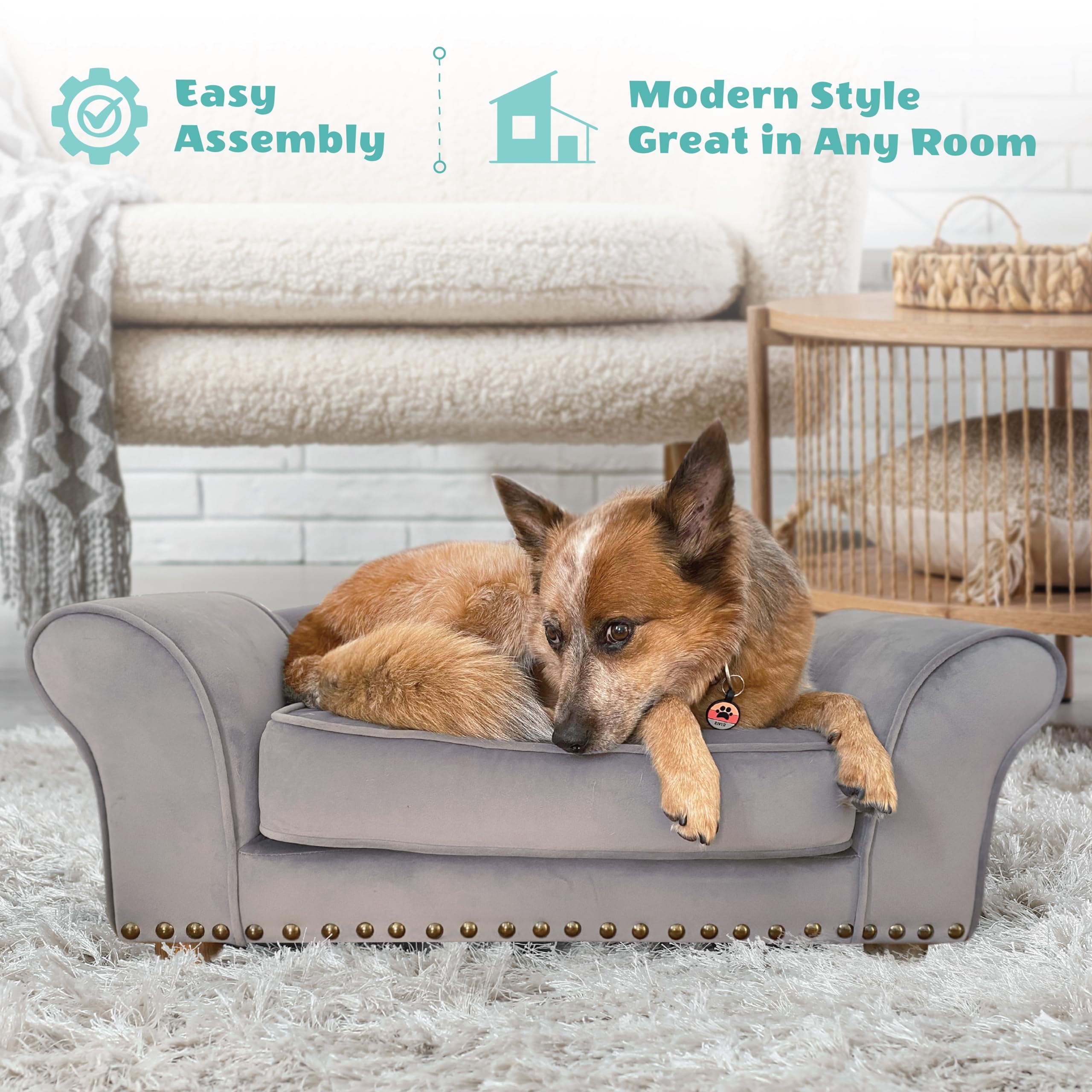 Critter Sitters 34-in. Faux Velvet Pet Bed Sofa in Dark Gray for Medium-Sized Dogs and Cats, Durable Indoor Pet Furniture for Be