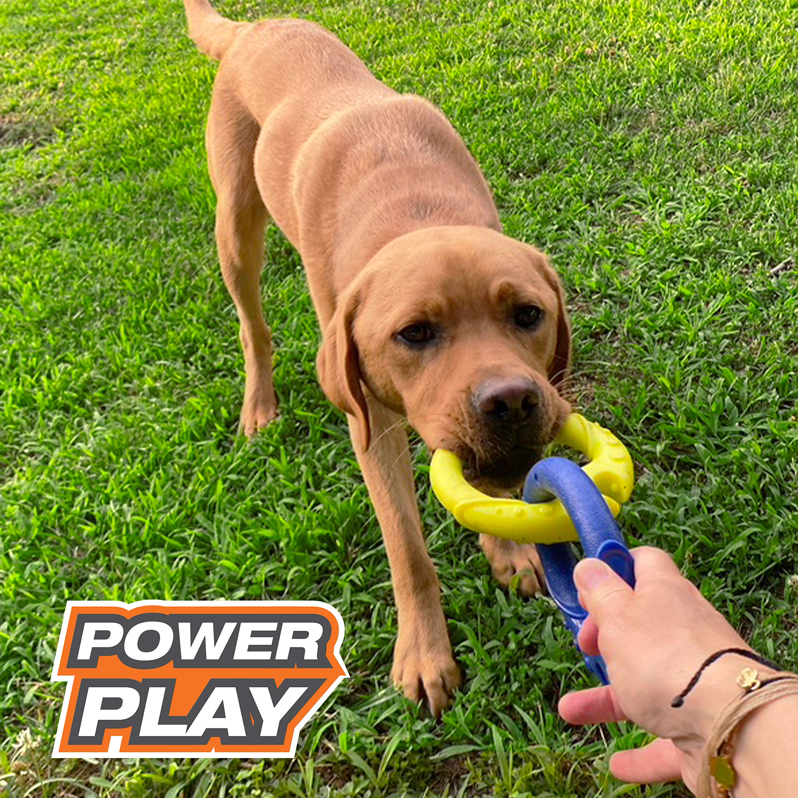 Nylabone Power Play Tug-A-Ball 2-In-1 Ball And Tug Toy, Play Toy For Dogs, Large (1 Count)