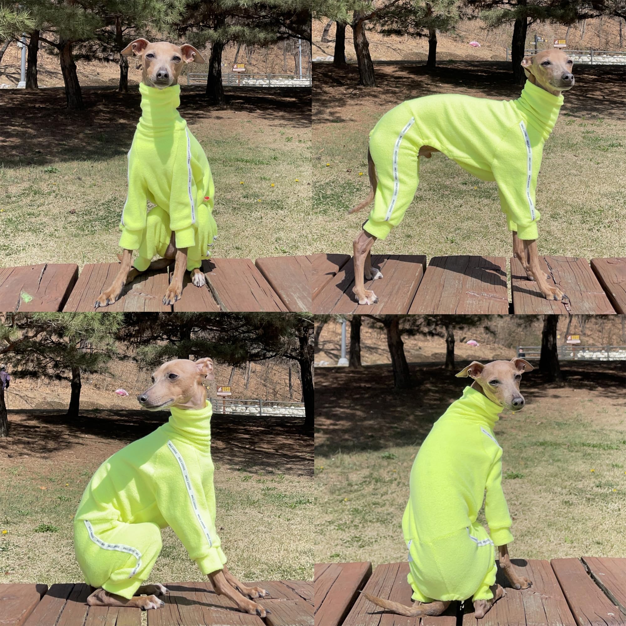 D Doggy Star Italian Greyhound Clothes Stretchy Towel Sports Onesie Outfit Whippet For Dog Coat (2Xl,Twl Neonyellow)