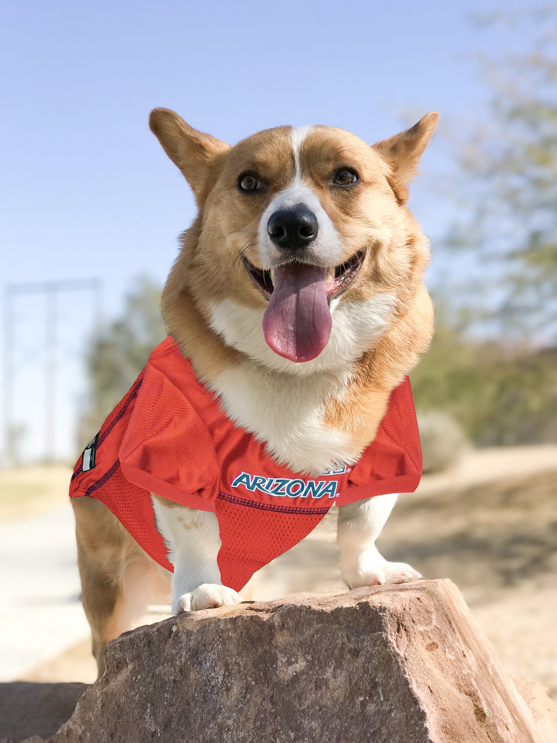 Pets First NCAA College Arizona Wildcats Mesh Jersey for DOGS & CATS, X-Small. Licensed Dog Jersey with your Favorite Football/B