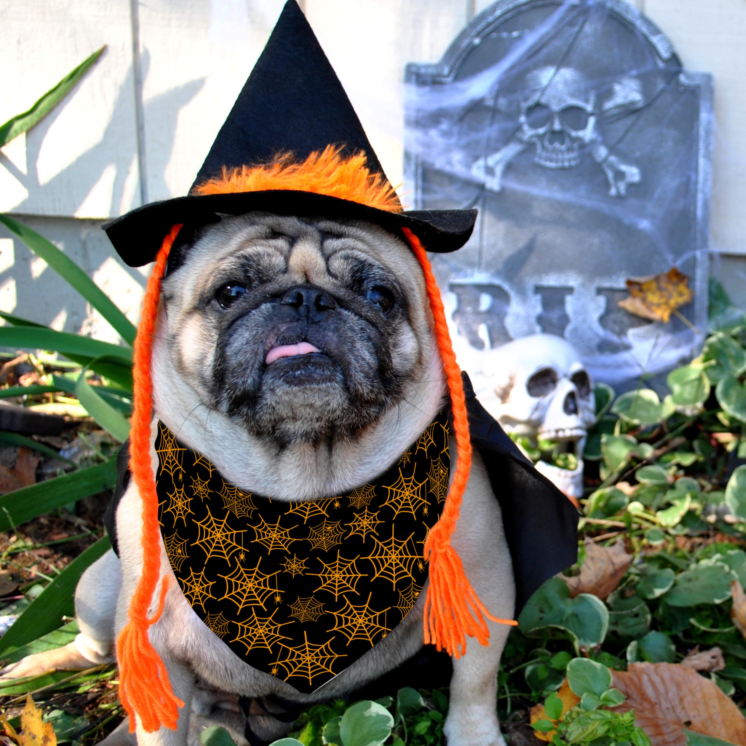 Fall Halloween Dog Bandanas Reversible 2 Pack Black Pumpkin Ghost Spider Web Cute Pet Bandanas For Dogs Adjustable Triangle Holi