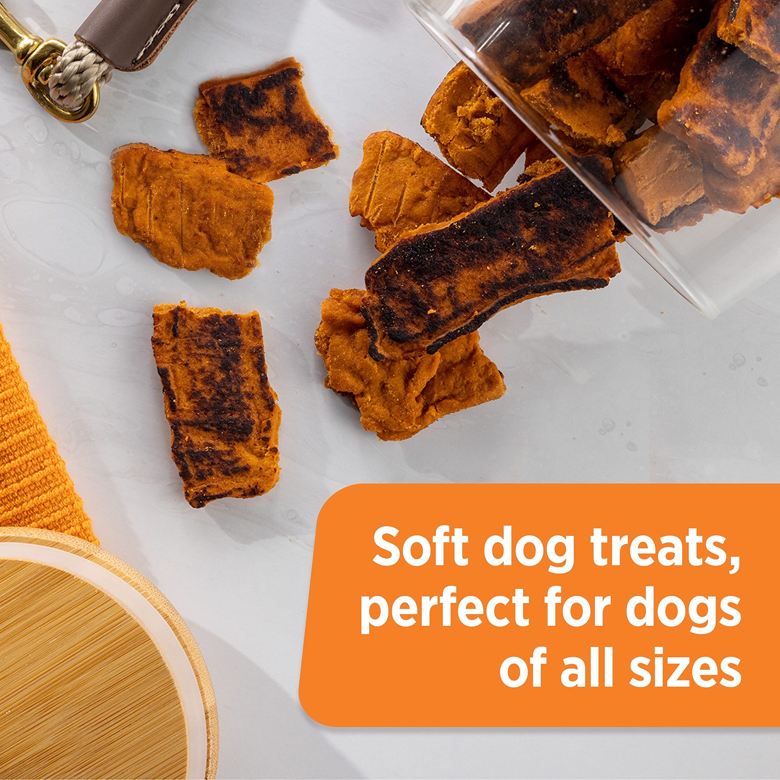 Rachael Ray Nutrish Turkey Bites Real Meat Grain Free Dog Treats, Turkey Recipe with Hickory Smoked Bacon Flavor, 5 Ounces (Pack