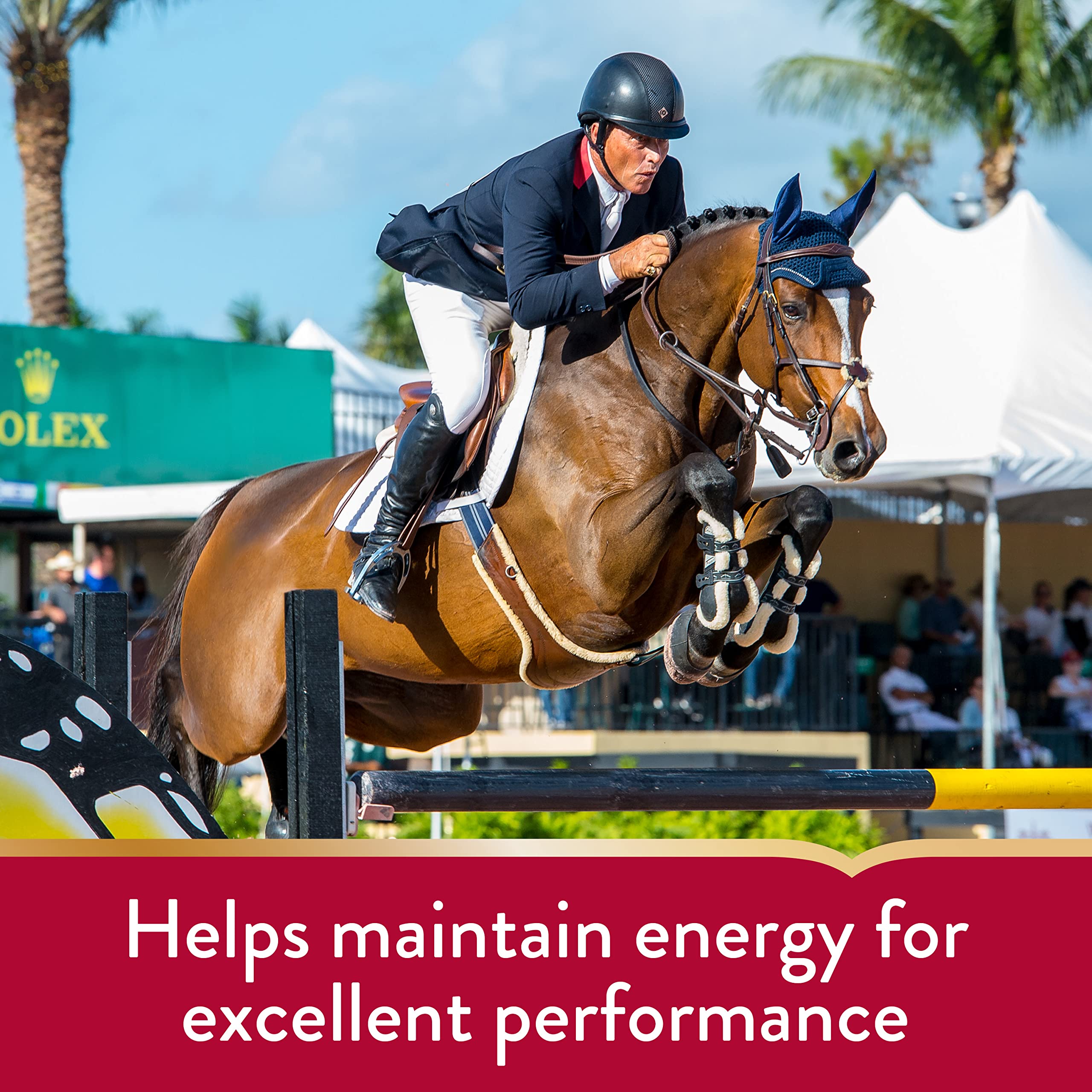 Vita Flex Pro Horse Lactanase Pre Performance Supplement, Show Safe, Single Serve Packet