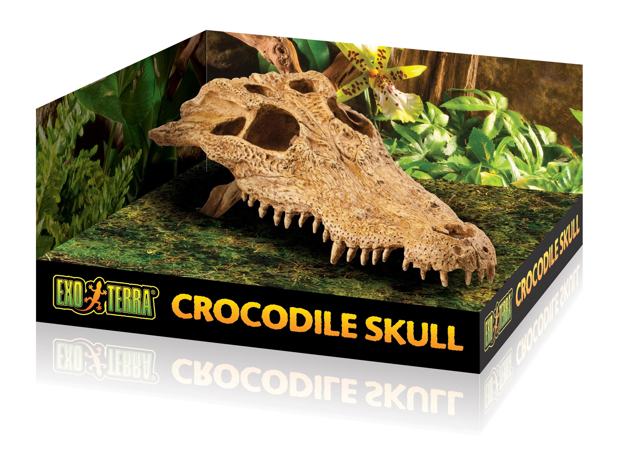 Exo Terra Croc Skull Terrarium Decor Lq - Ideal For Reptiles & Amphibians | Secure Hiding Place, Multiple Entrances, Perfect For Desert & Rainforest Setups | Adds Exciting Accent To Any Habitat
