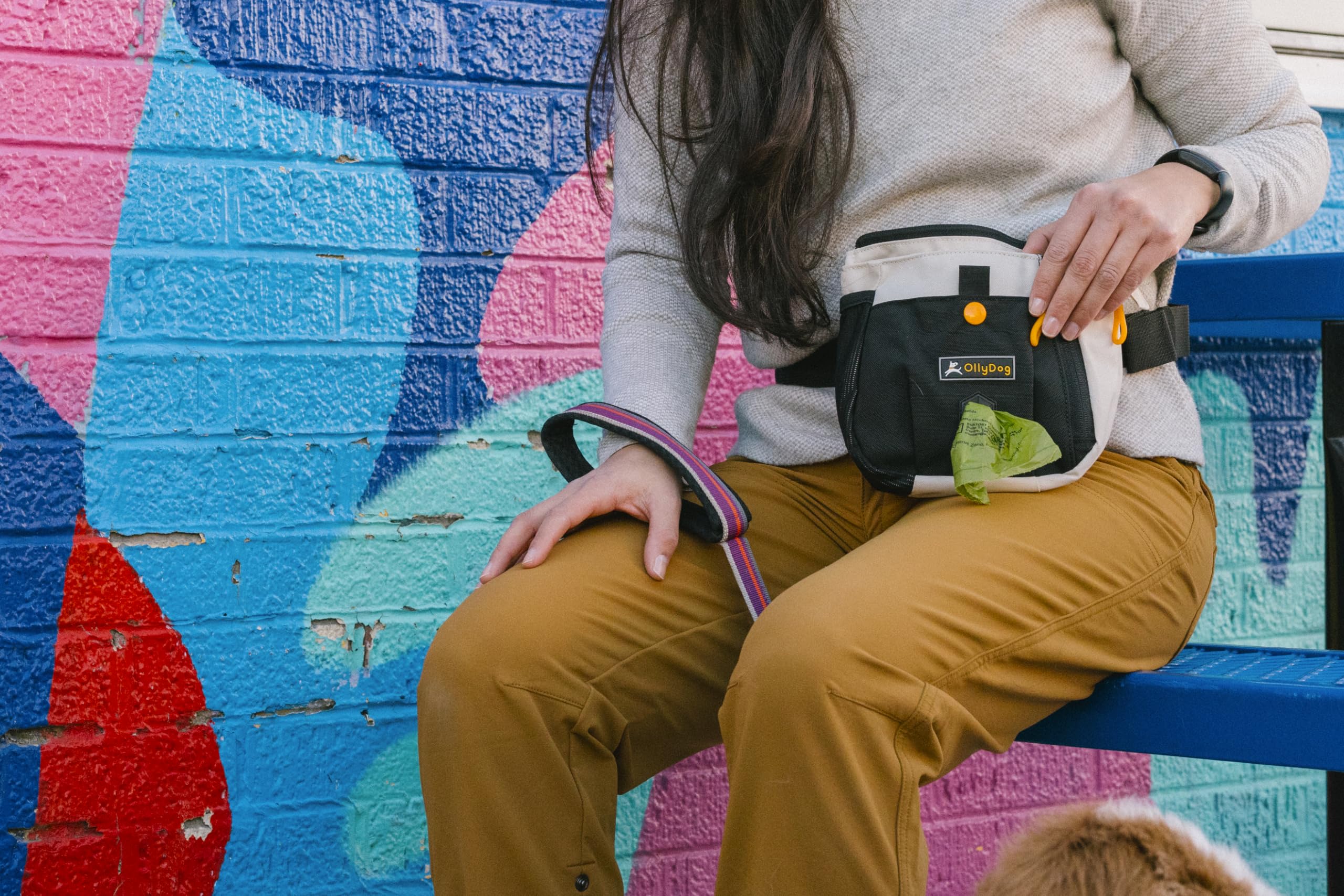 OllyDog Backcountry Day Bag | Hands-Free Dog Training Treat Pouch | Fanny/Hip Pack with Zipper Closure & Built-in Poop Bag Dispe