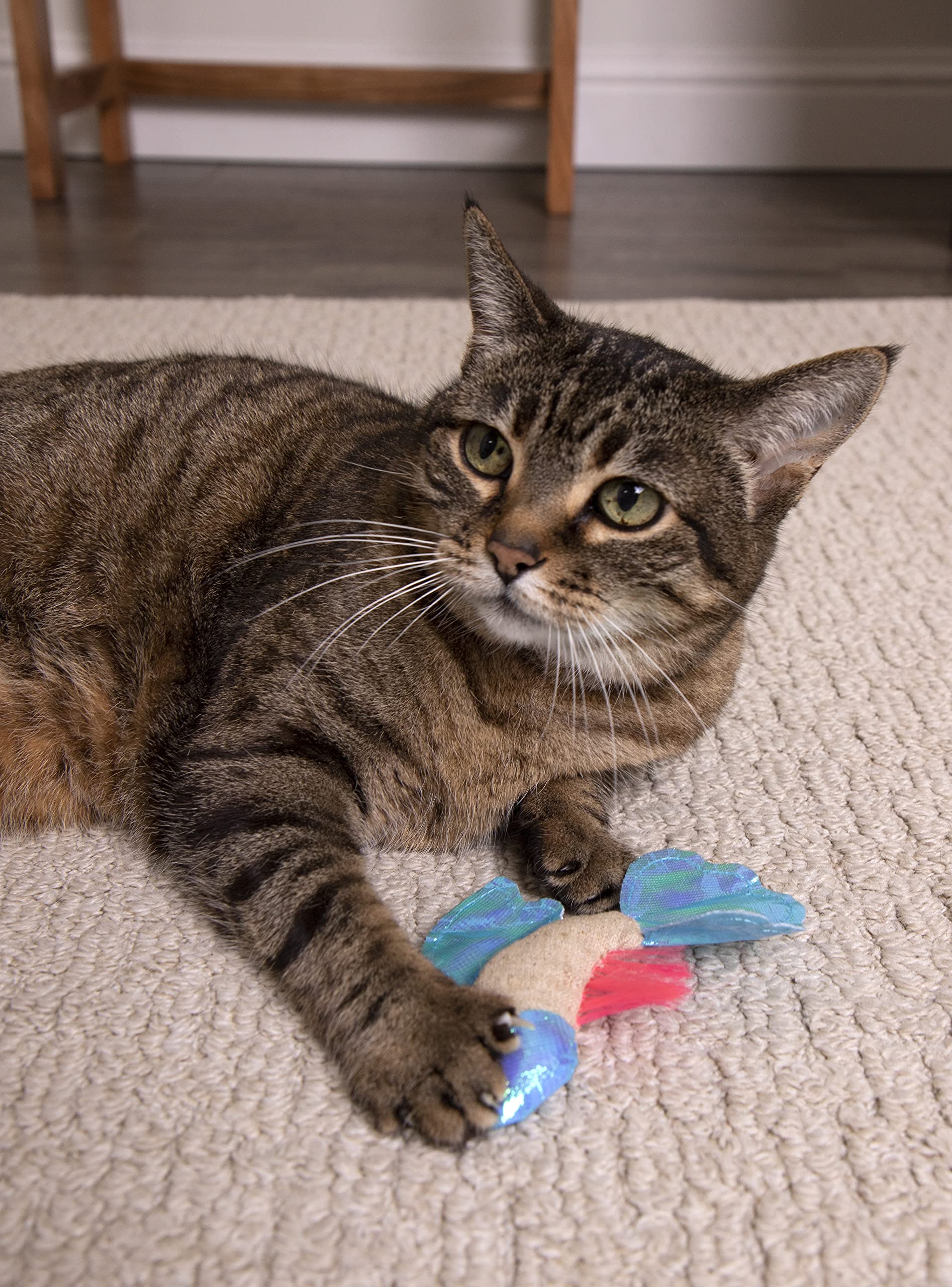 Petlinks Batty Beta Fish Crinkle Catnip Cat Toy - Tan/Blue, One Size