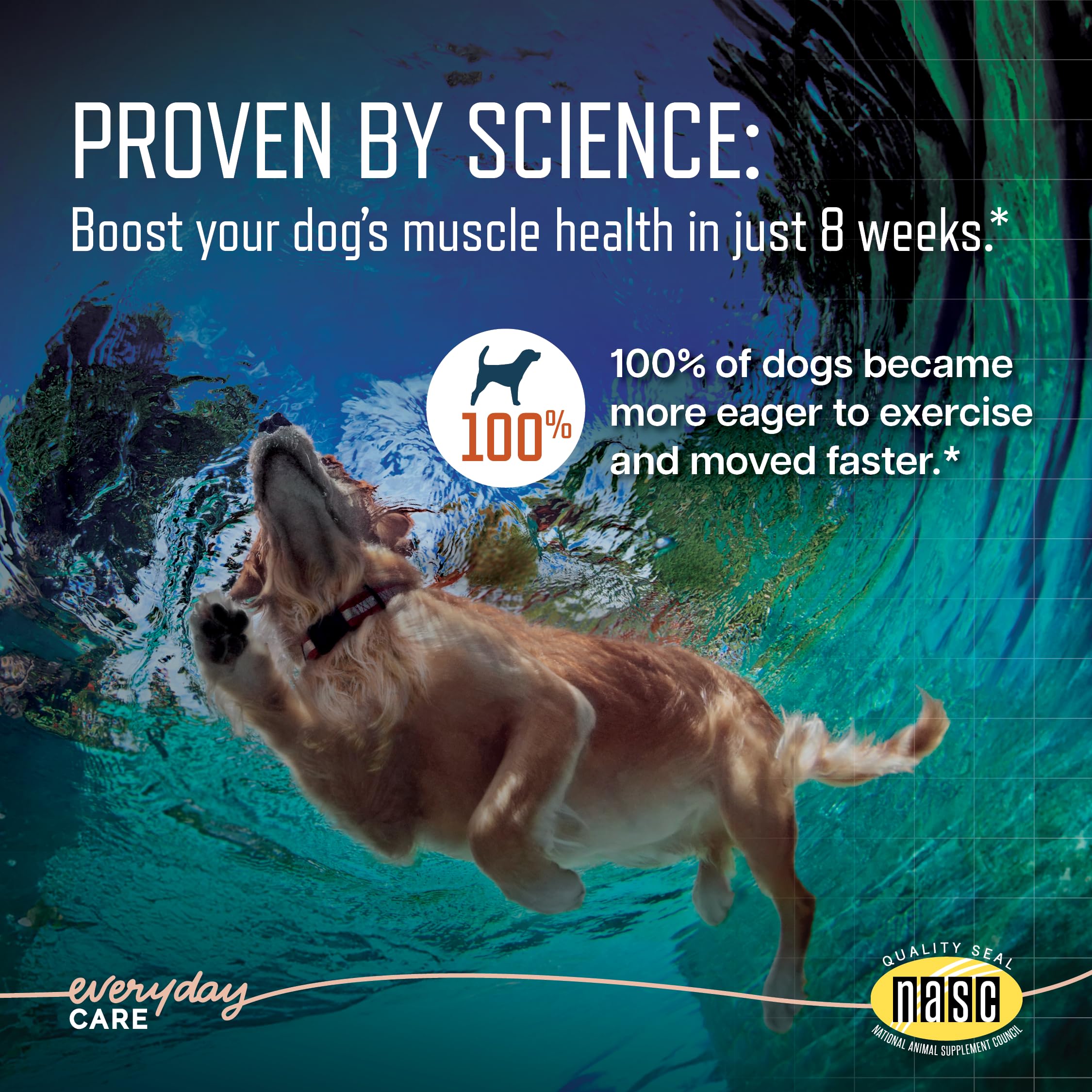 Virbac URSOLYX Soft Chews for Dogs | Muscle Health Support for Senior, Active or Recovering Dogs, Small | 60 Count 2- Month Supp