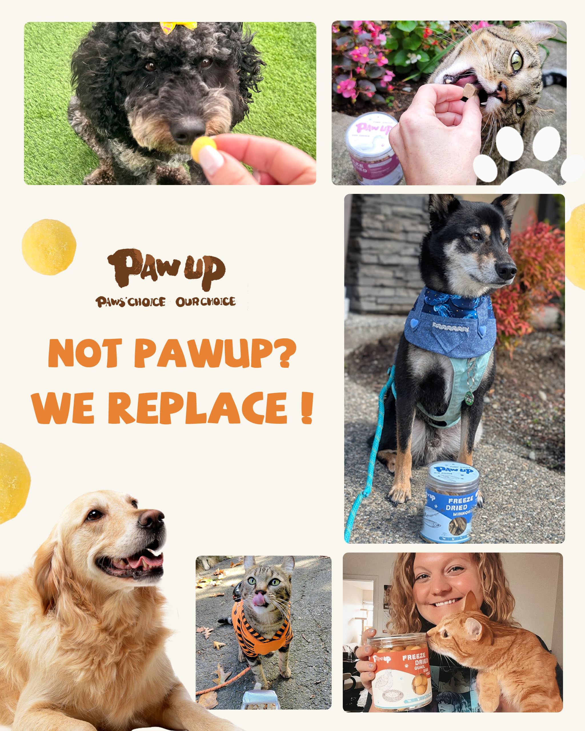 PAWUP Freeze Dried Cat & Dog Treats, Natural Quail Egg Yolk, Single Ingredient, High-Protein Pet Snacks for Skin & Coat Health,