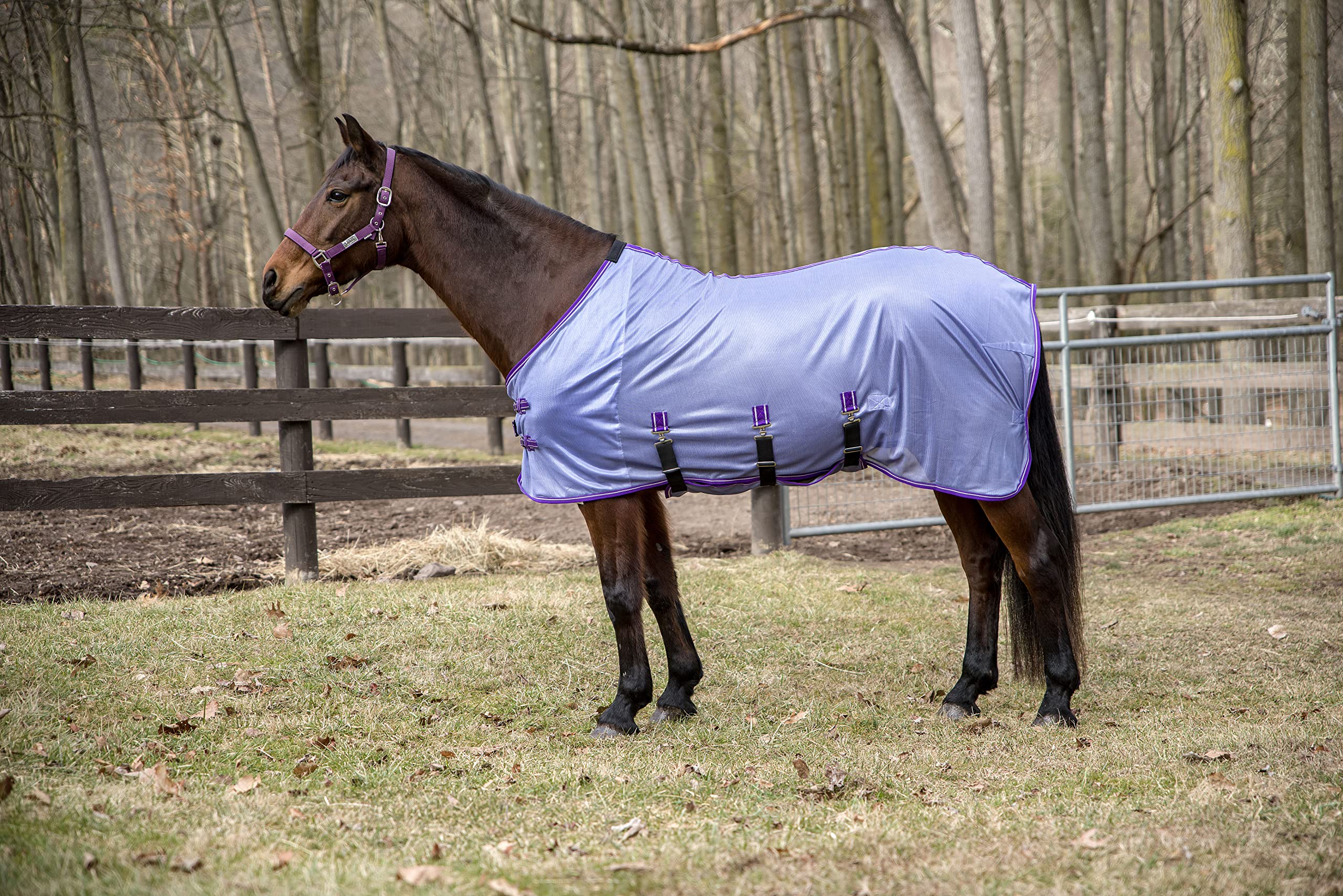 Tuffrider Comfy Plus Standard Neck Fly Sheet- Purple With Deep Purple Trim- 72