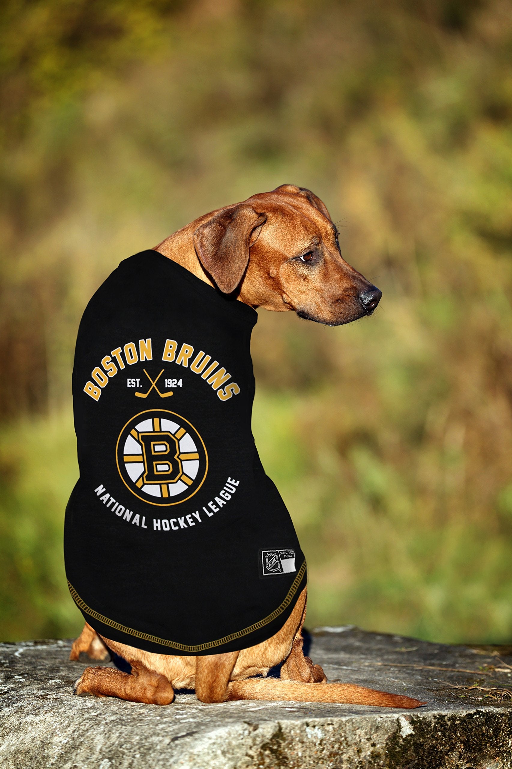 NHL Boston Bruins Tee Shirt for Dogs & Cats, X-Small. - Are You A Hockey Fan? Let Your Pet Be An NHL Fan Too!