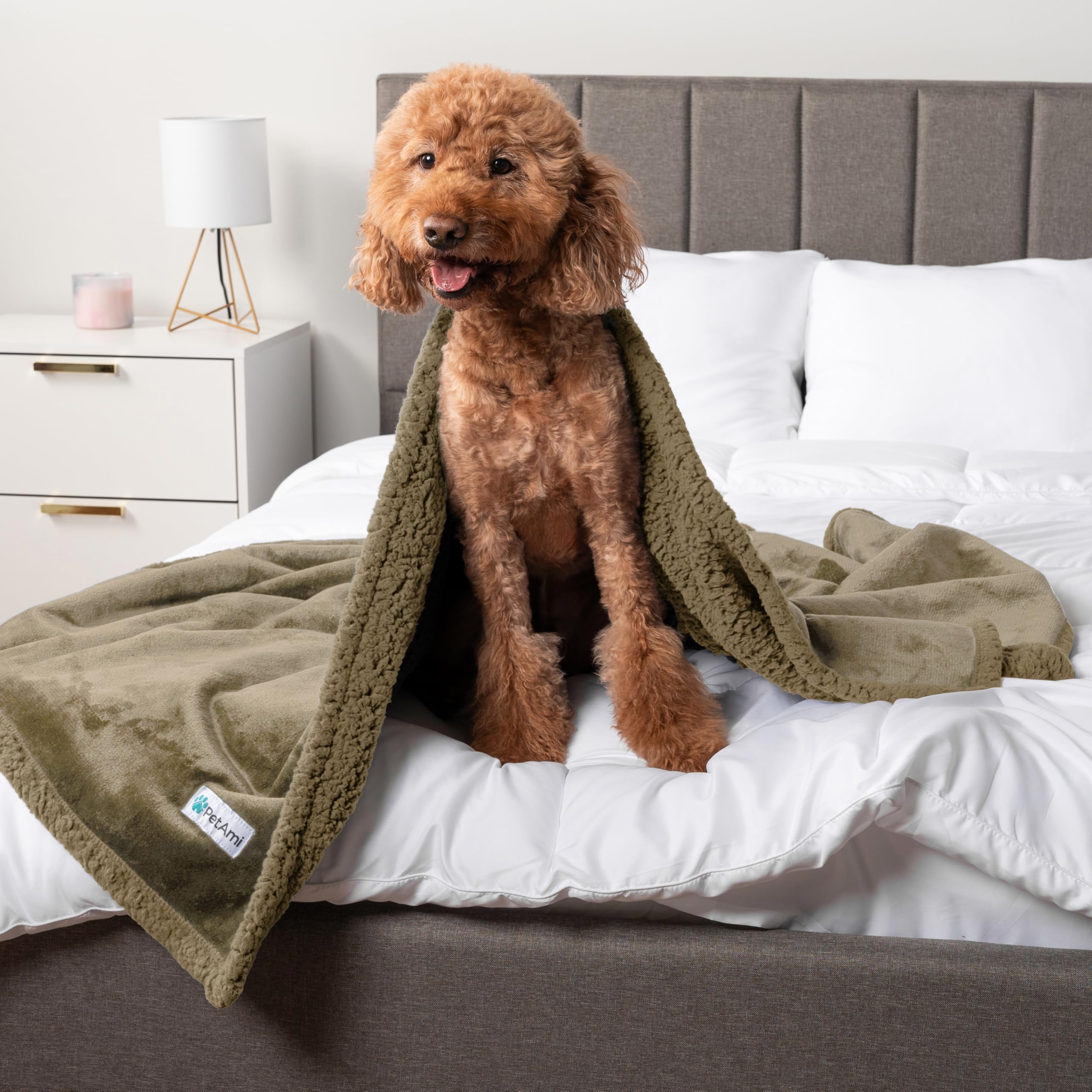 Petami Waterproof Dog Blanket For Small Medium Dog, Pet Puppy Blanket Couch Cover Protection, Sherpa Fleece Cat Blanket Couch Sofa Bed Furniture Protector Reversible Soft Washable 29X40 Taupe Taupe