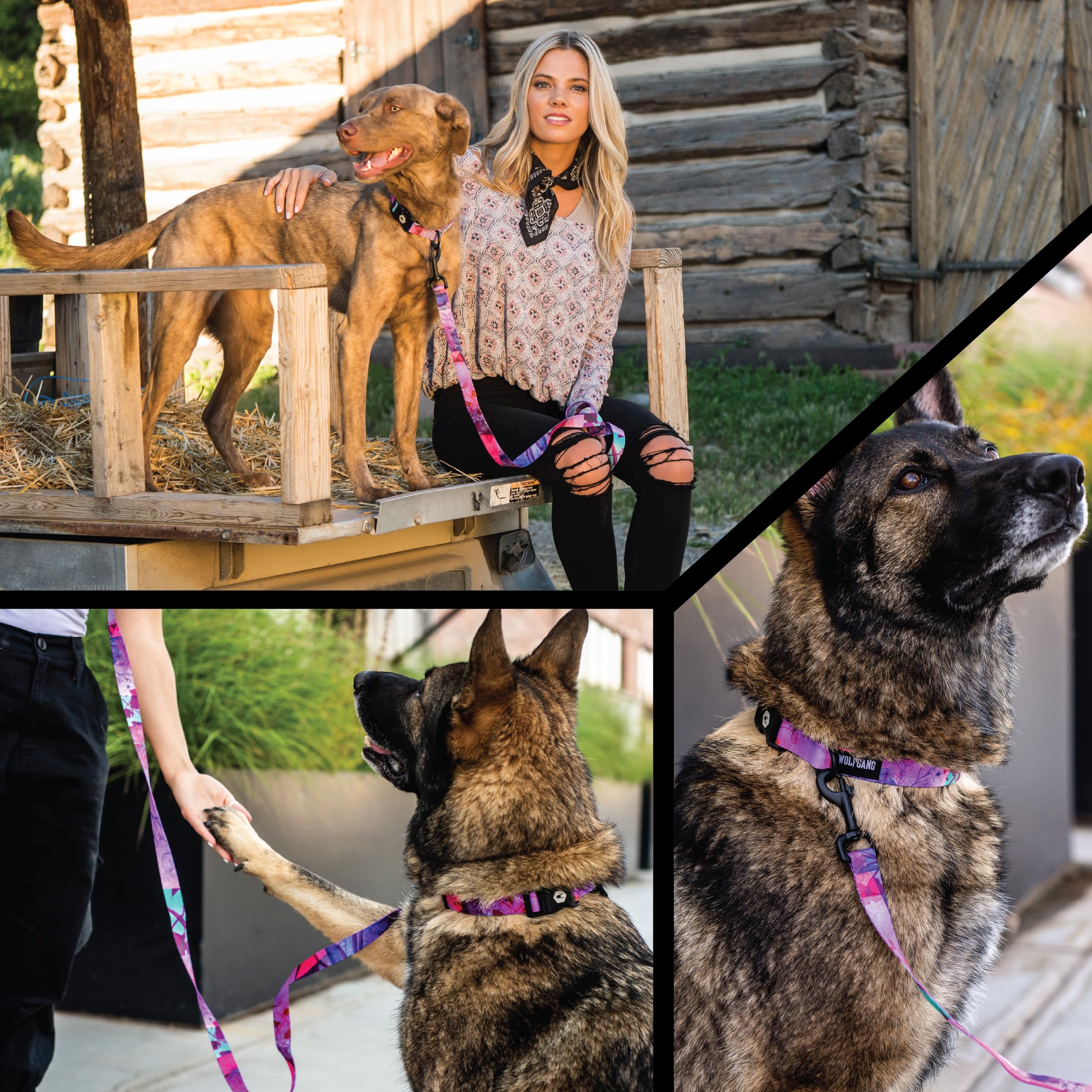 Wolfgang Heavy Duty Adjustable Dog Harness, Pull-Tested to Over 800 lbs for Walking & Training, Daydream Print, Large