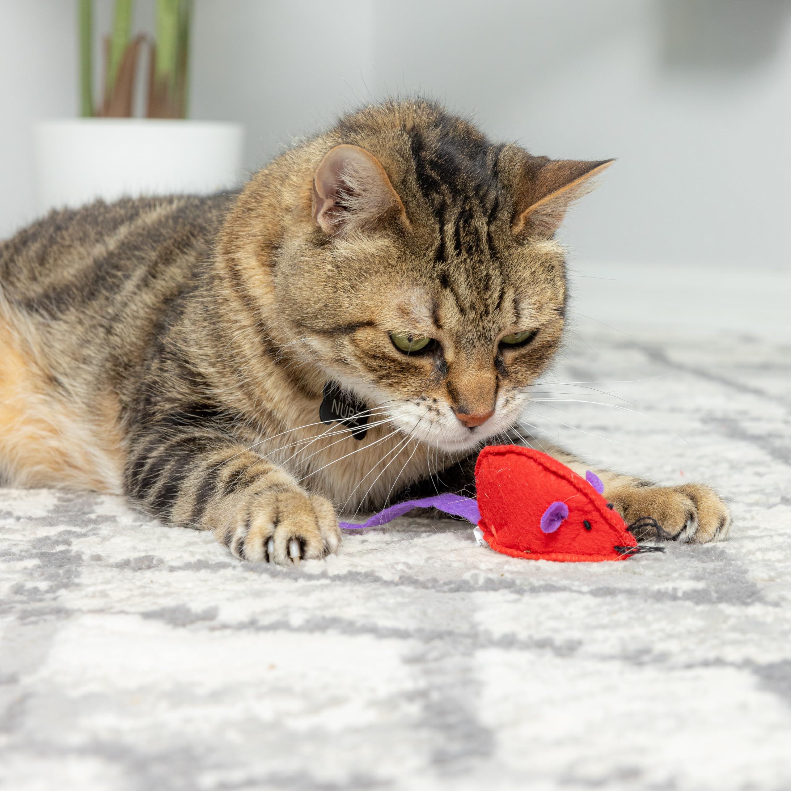 SPOT Felt Mice Catnip Toy | Soft, Colorful Multipack Interactive Cat Toy for Indoor Cats | Includes Catnip | 6 Pack in Assorted