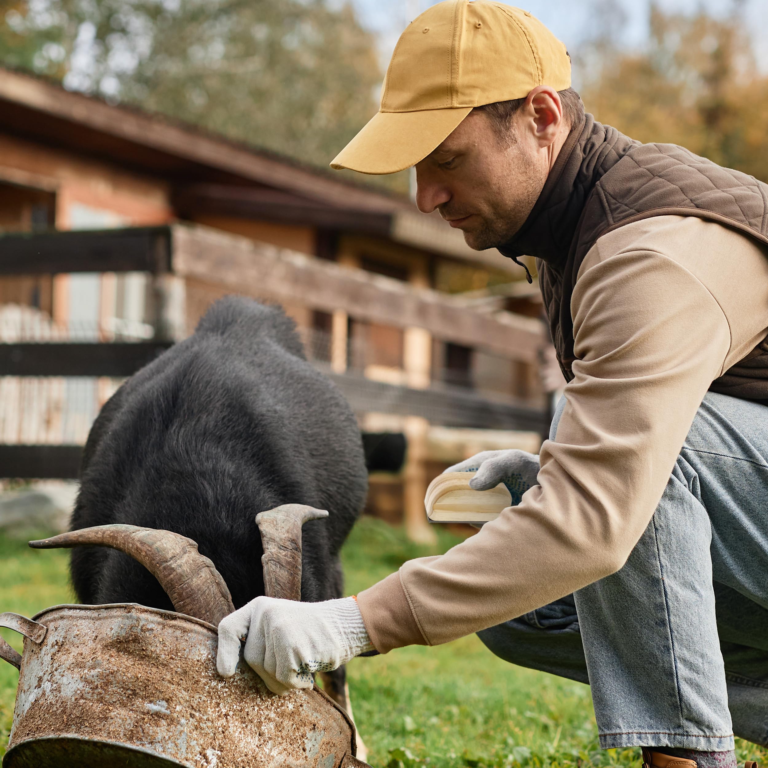 Rural365 Farrier Rasp With Wooden Handle, Mini Hoof Rasp File – Farrier Supplies For Miniature Horse, Pigs, Goats