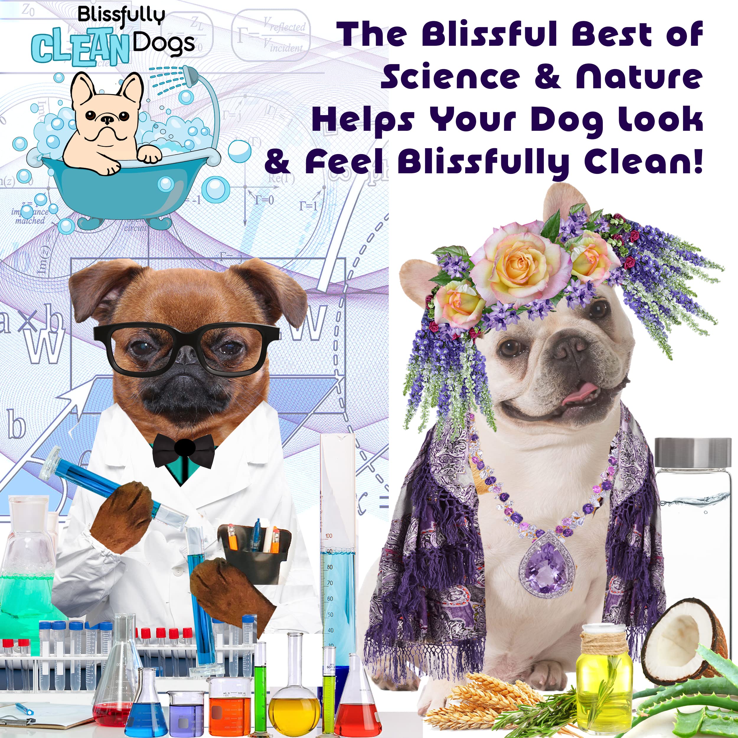 The Blissful Dog Drama Queen Luxury Dog Shampoo - Yorkshire Terrier, Nourishing Pet Supplies, Dog Grooming Supplies For Soft, Silky, Shiny Coat, Moisturizing Puppy Shampoo, 8 Oz.