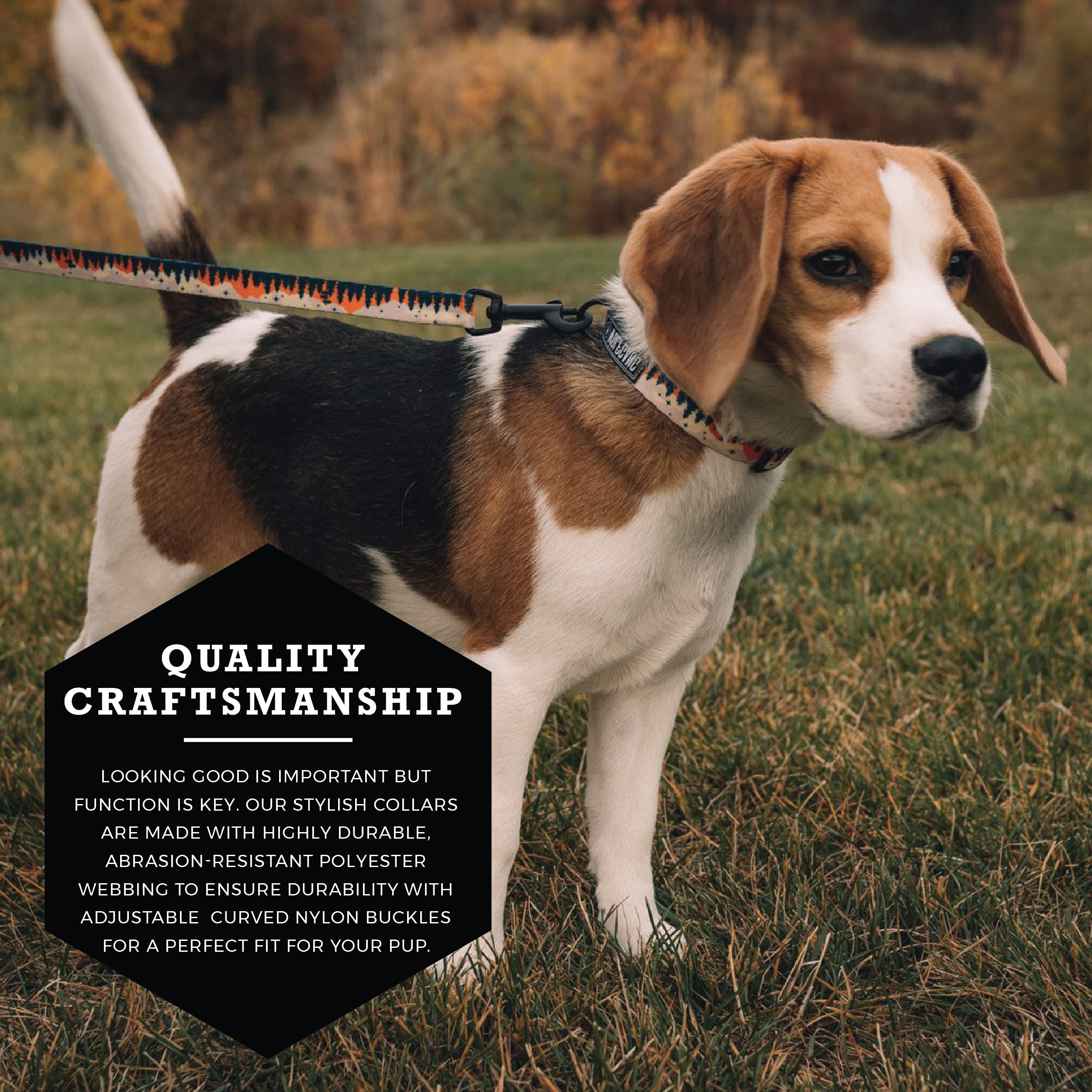 Wolfgang Overland Dog Collar