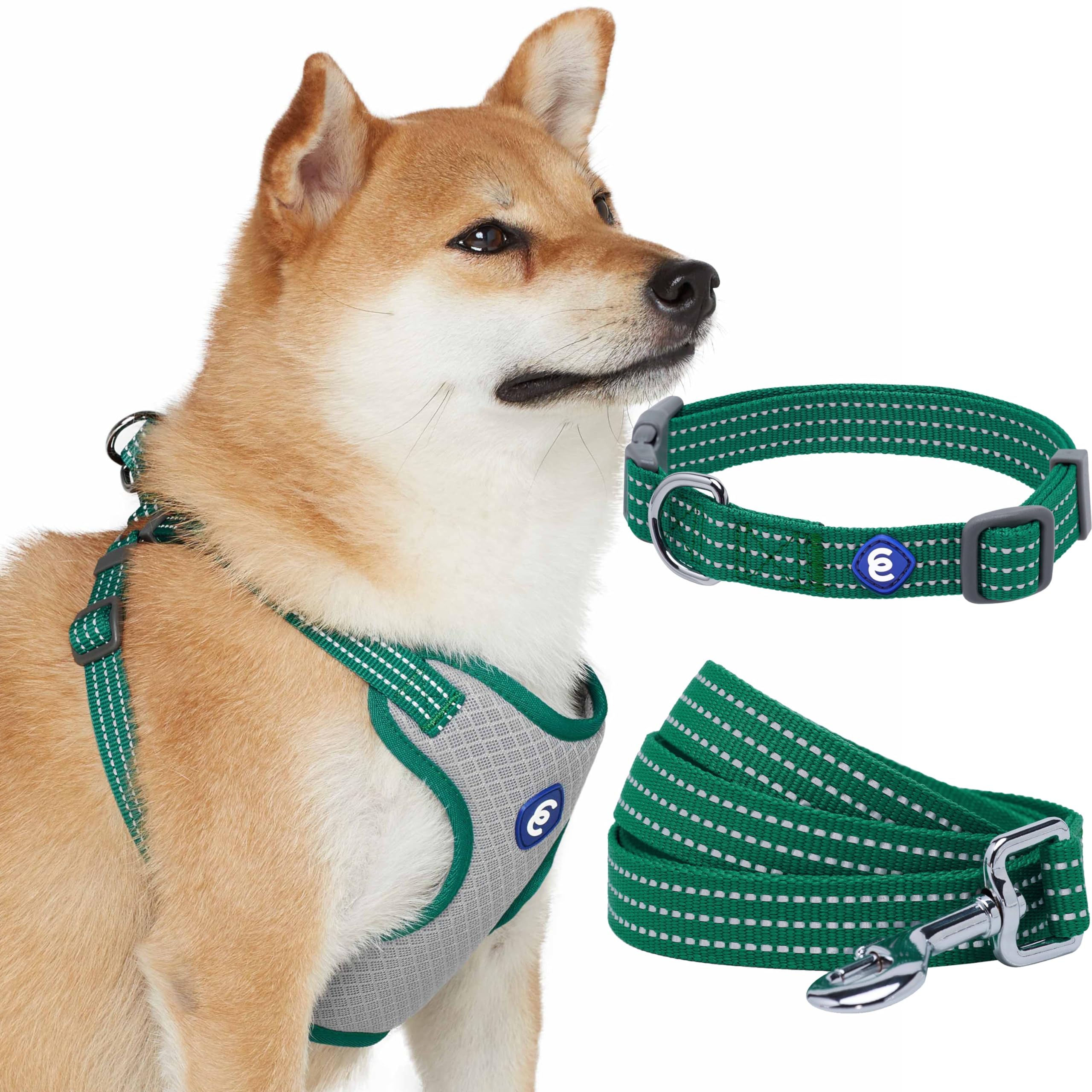 Blueberry Pet Essentials Reflective Better Basics Matching Dog Collar Leash Harness Set in Dark Green, Adjustable Collar with Ha